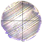 Lubricants 13 00404 i024