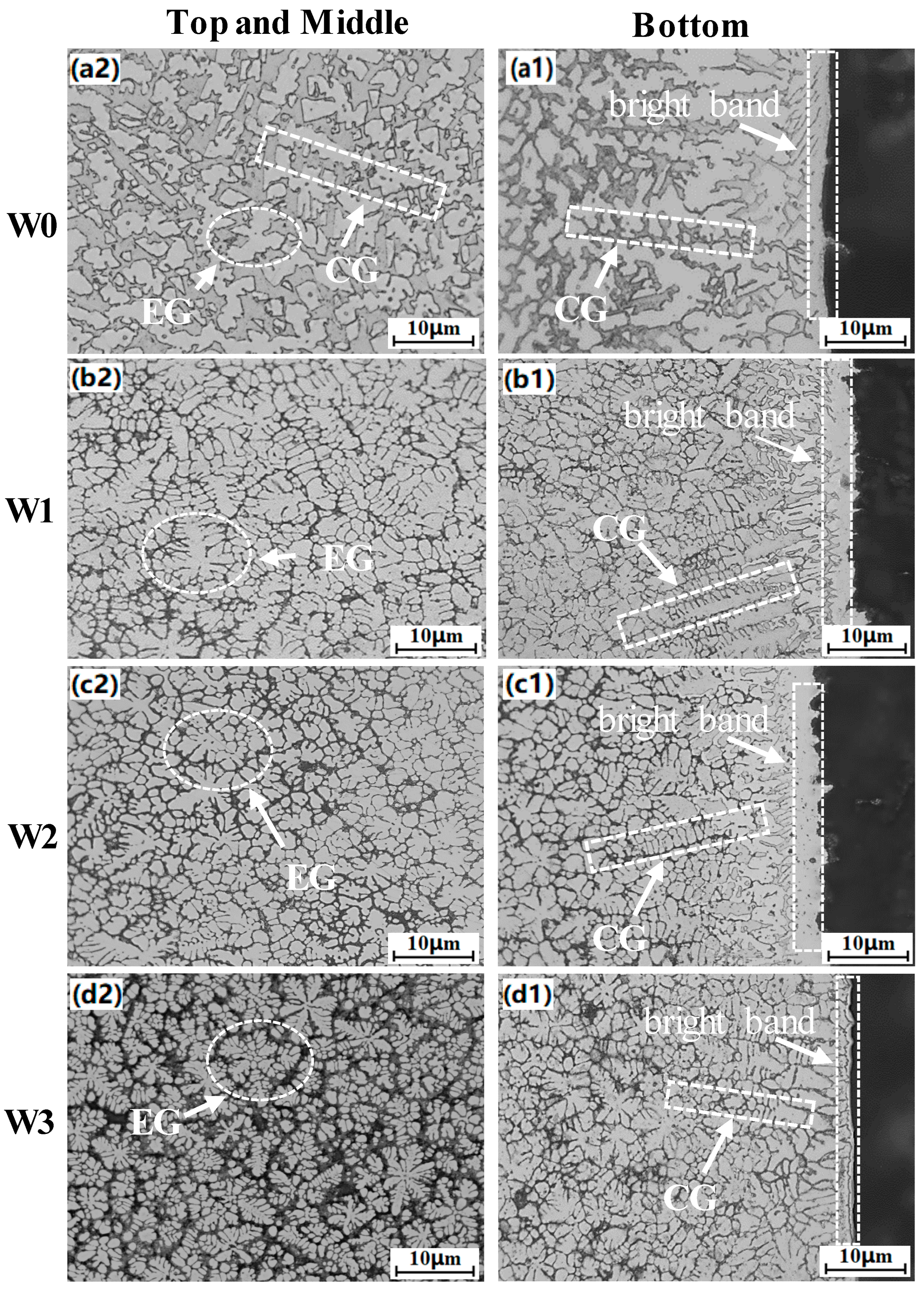 Lubricants 13 00407 g003
