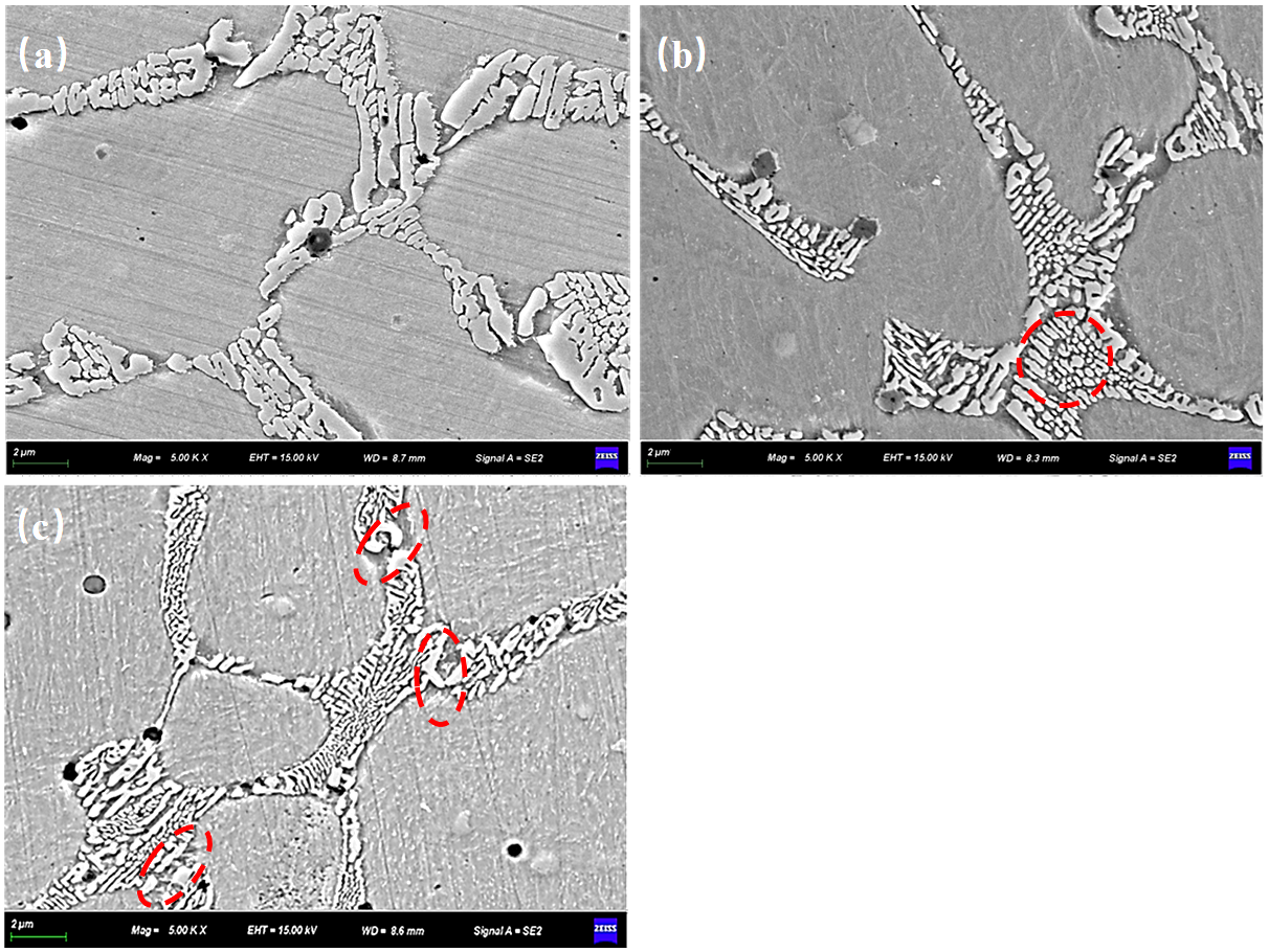 Lubricants 13 00407 g006
