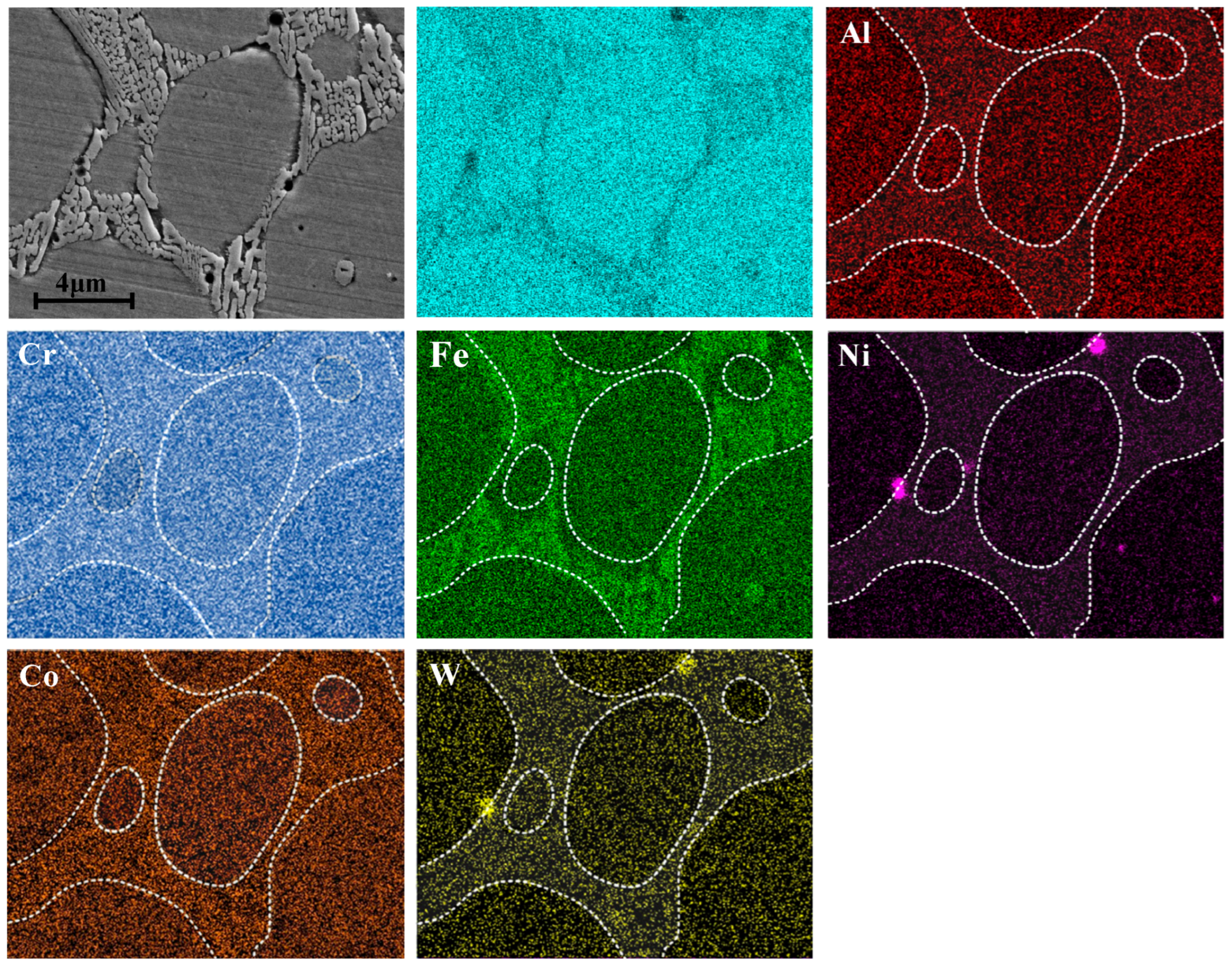Lubricants 13 00407 g007