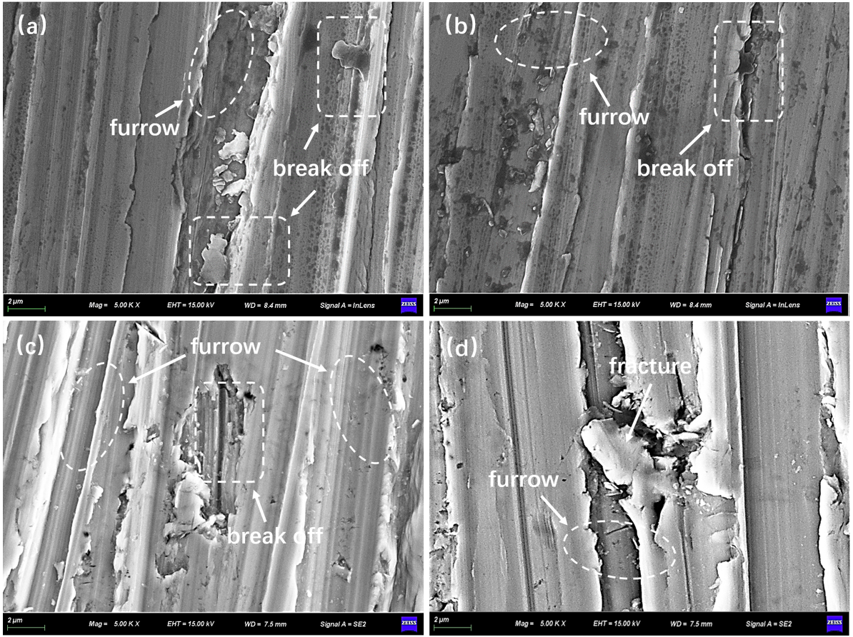 Lubricants 13 00407 g011