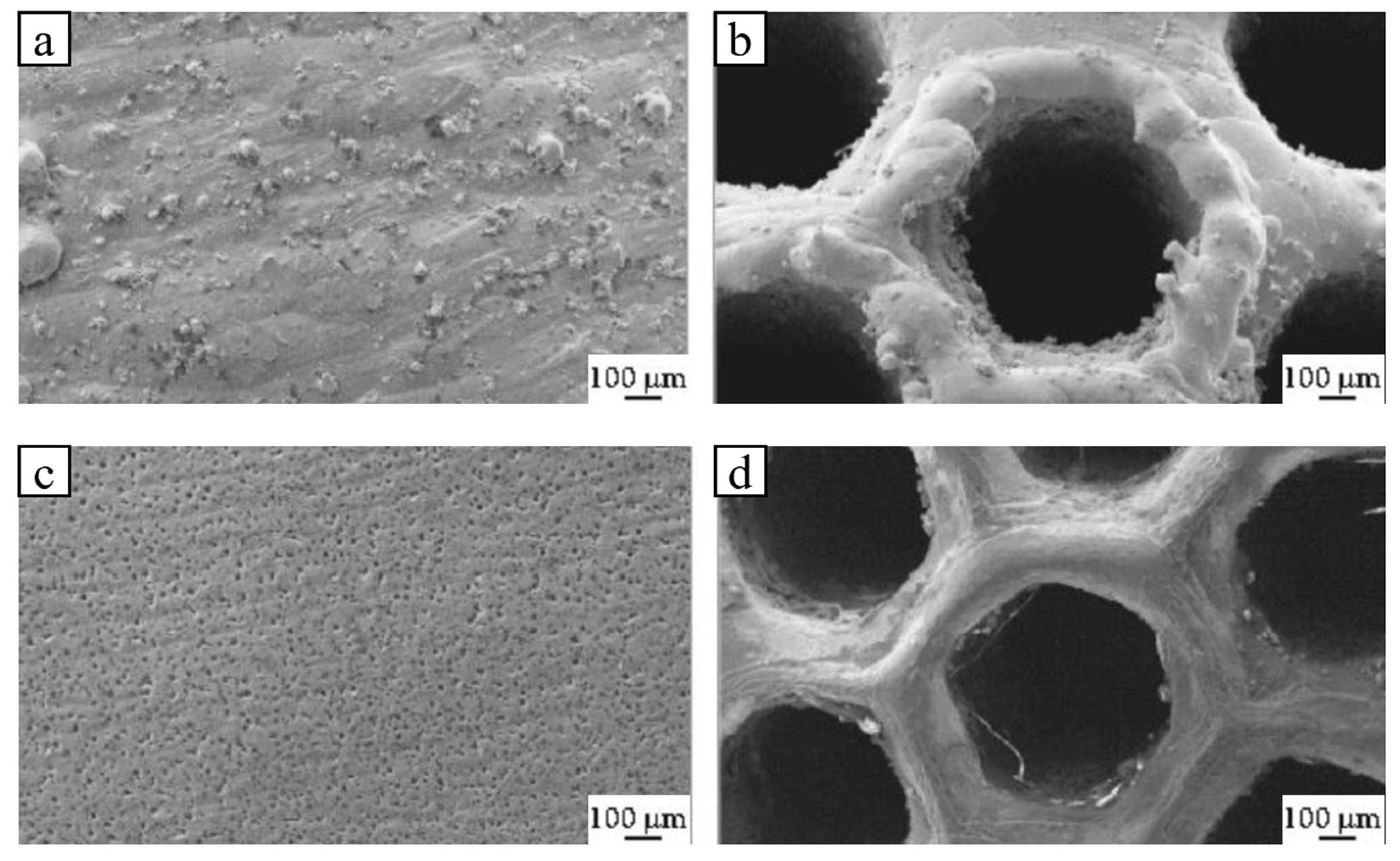 Lubricants 13 00412 g012 Lubricants 13 00412 g012