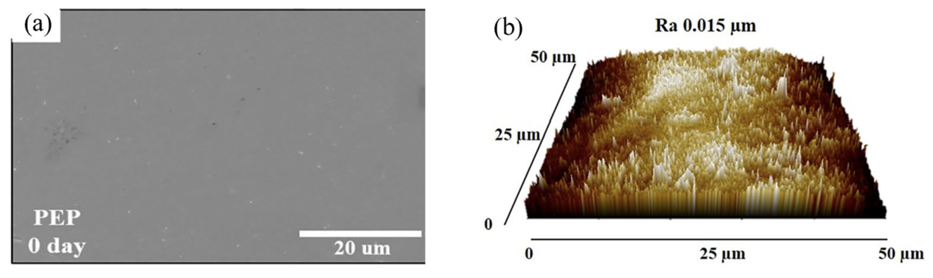 Lubricants 13 00412 g015 Lubricants 13 00412 g015