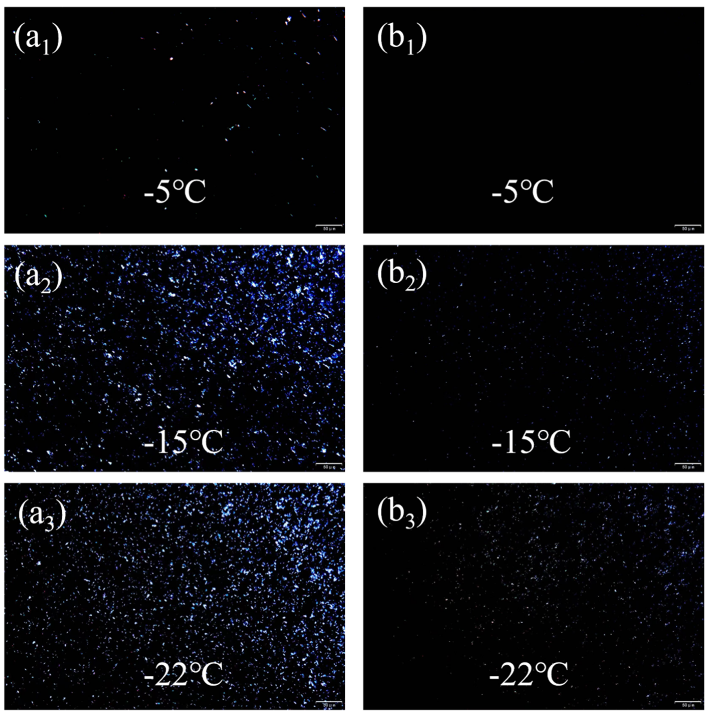Lubricants 13 00417 g010