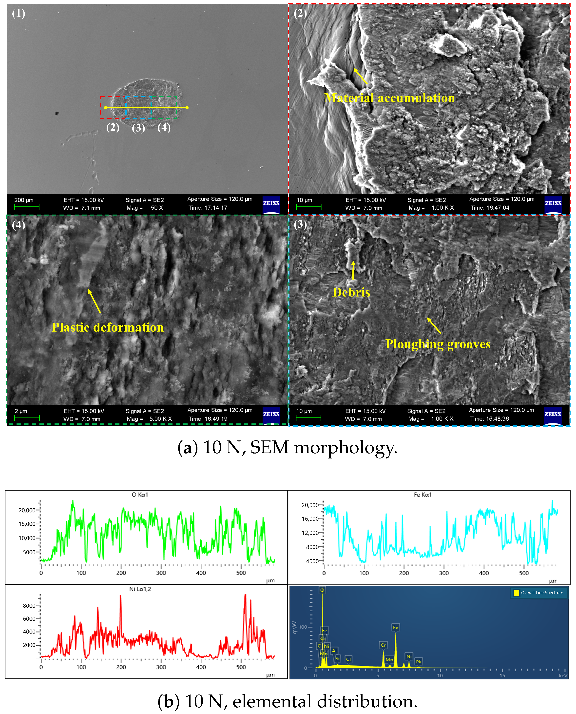Lubricants 13 00421 g007