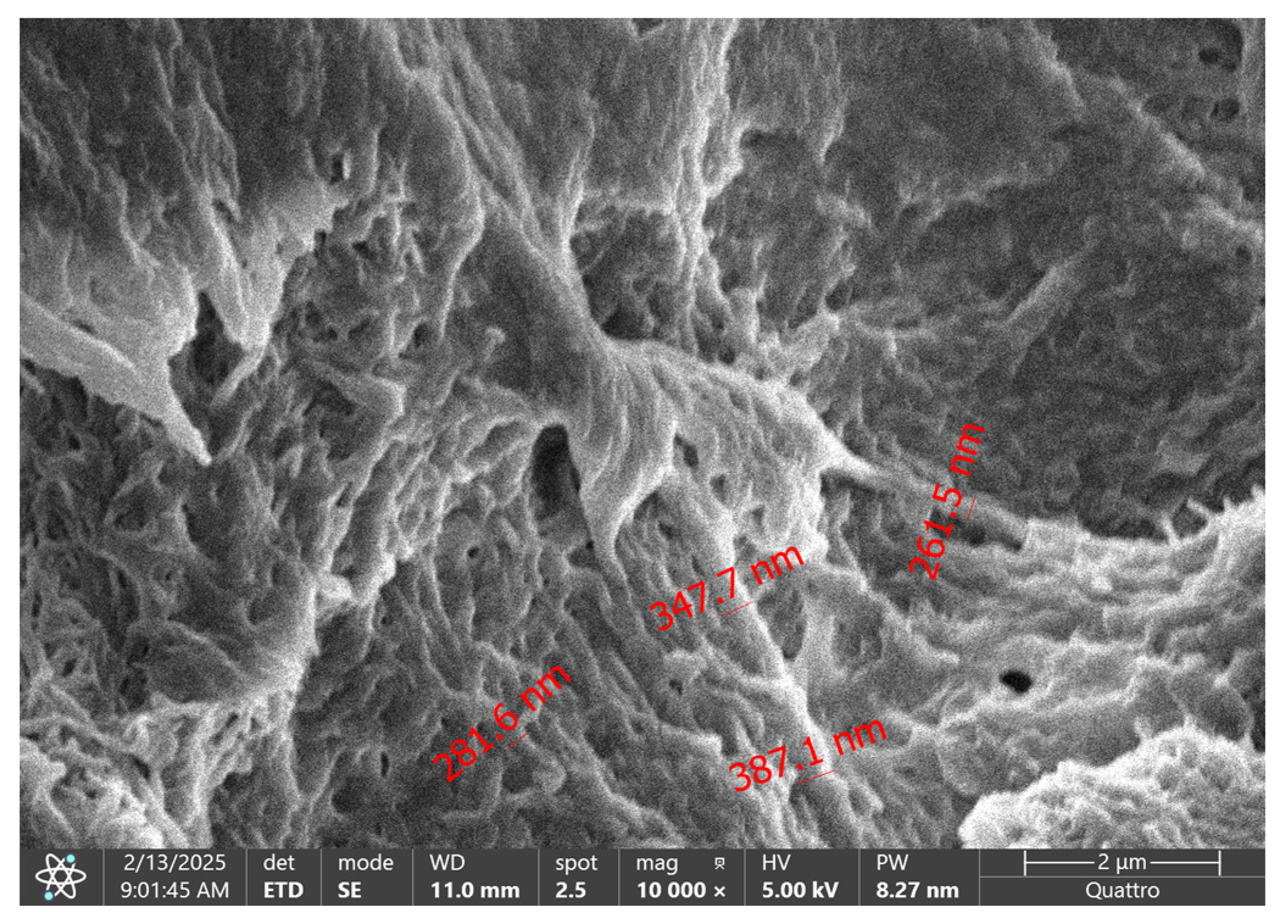 Lubricants 13 00429 g013