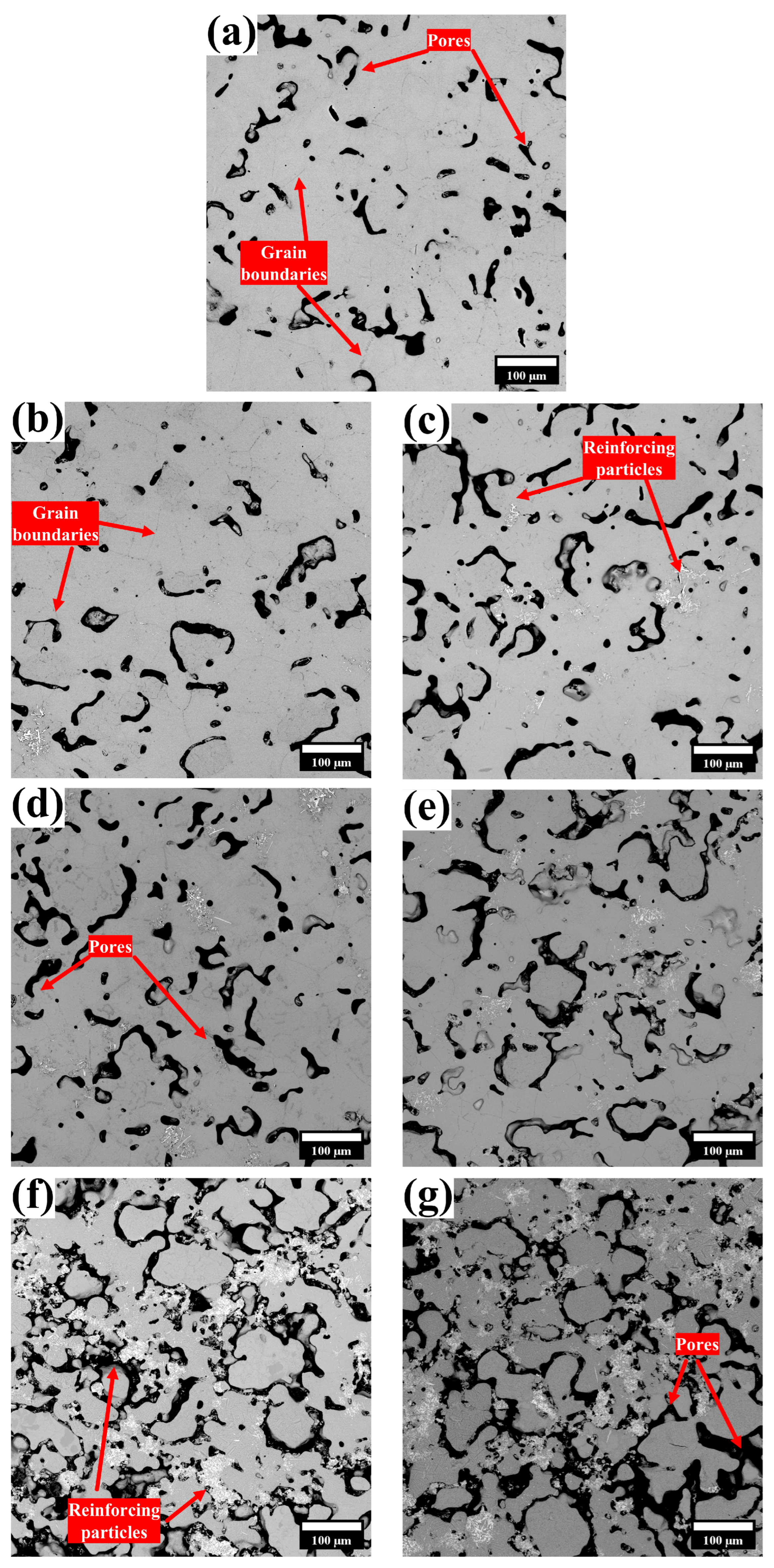 Lubricants 13 00431 g004