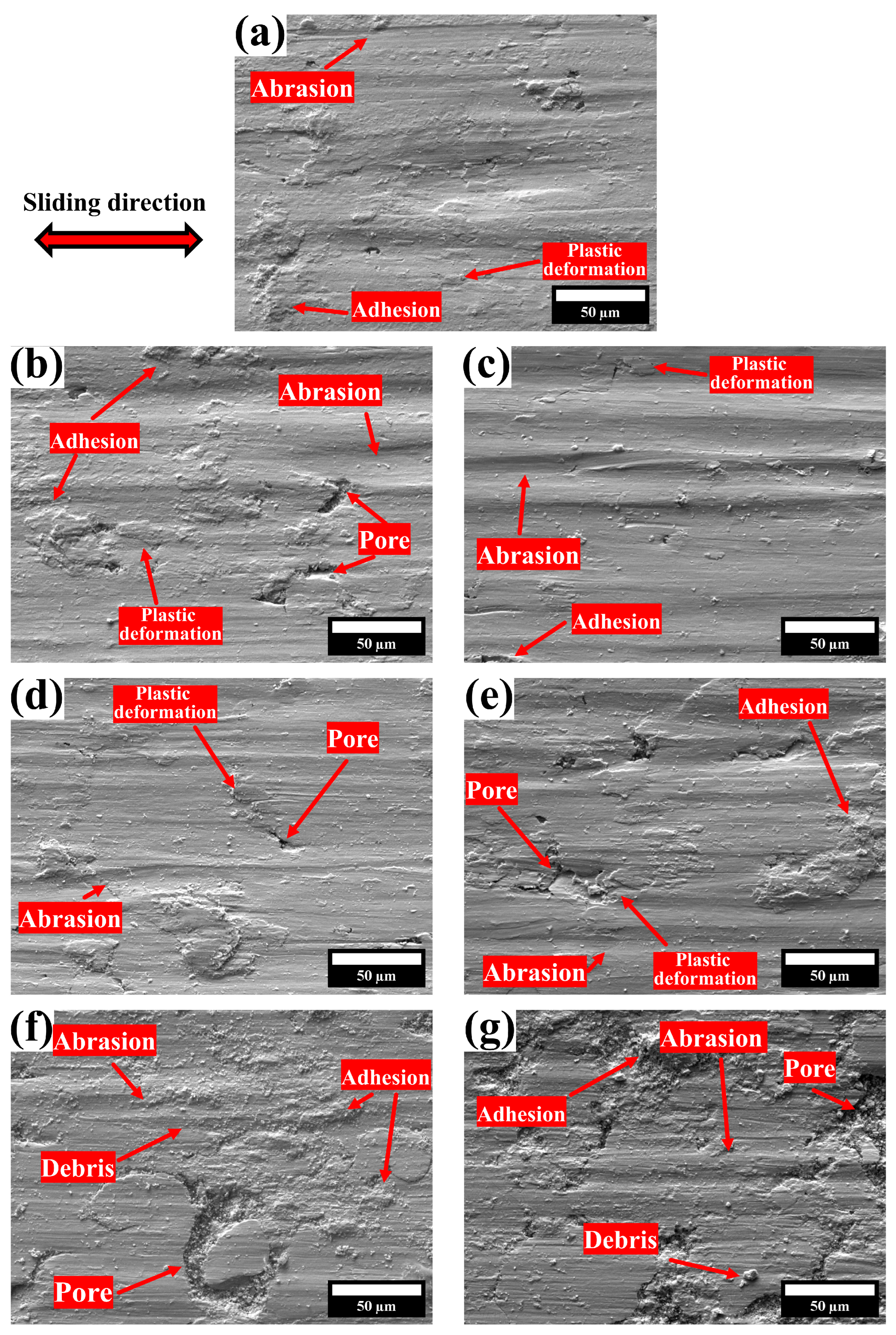 Lubricants 13 00431 g010