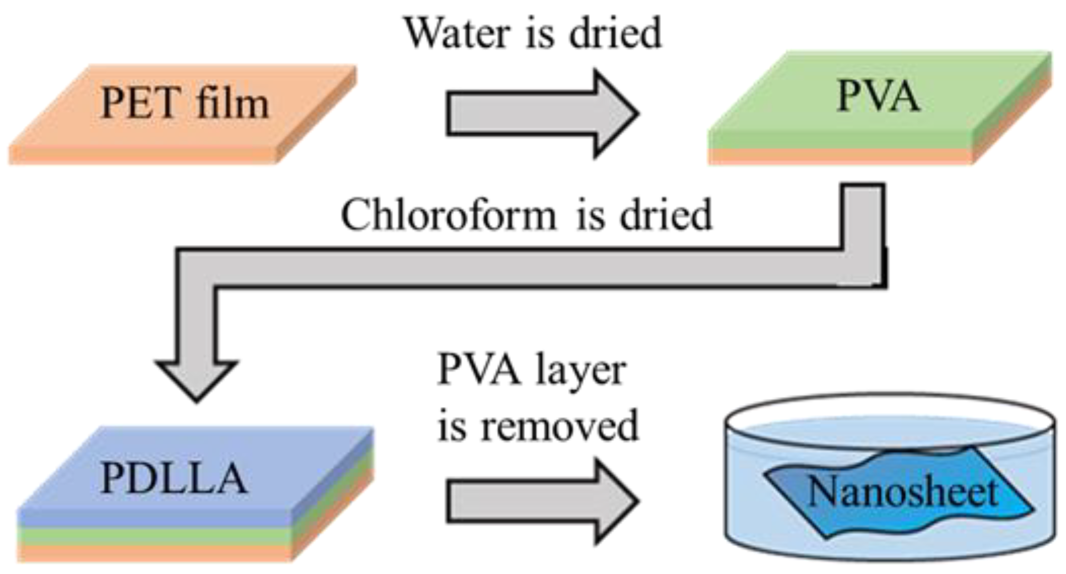 Lubricants 13 00432 g001