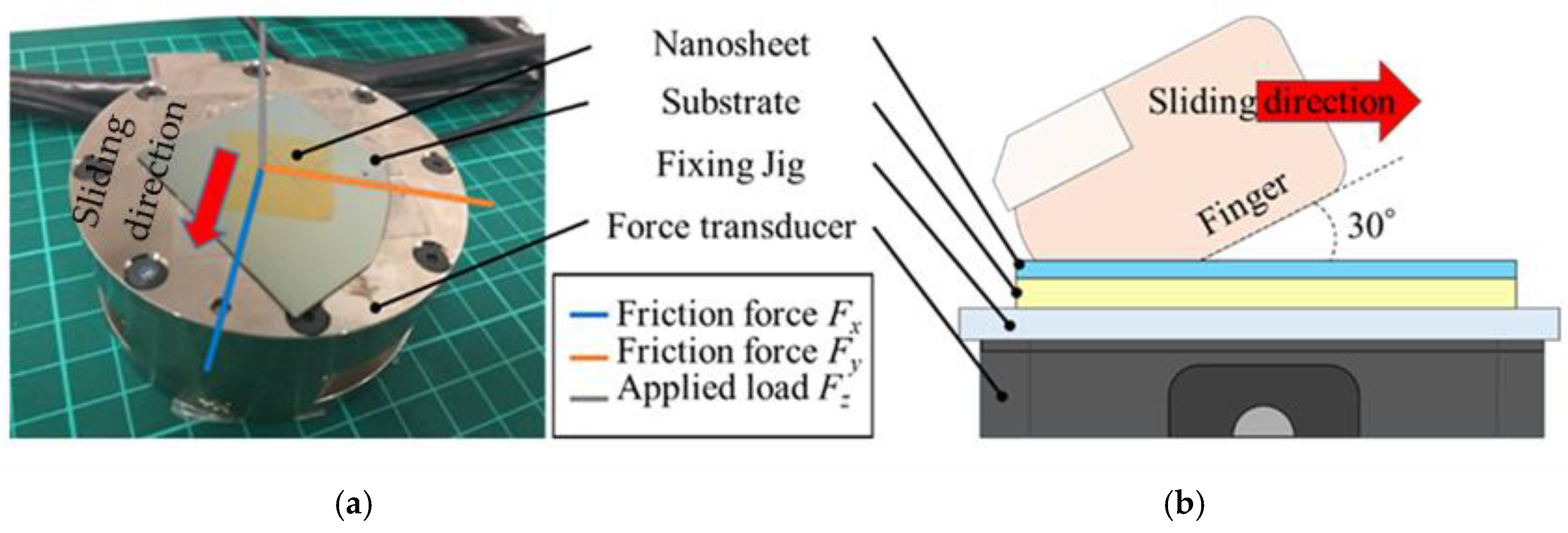Lubricants 13 00432 g003