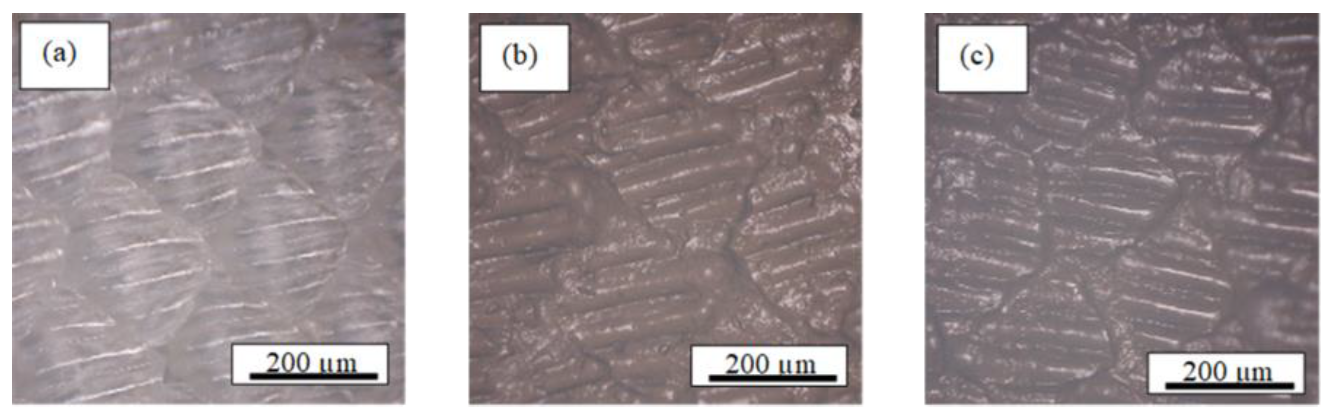 Lubricants 13 00432 g005