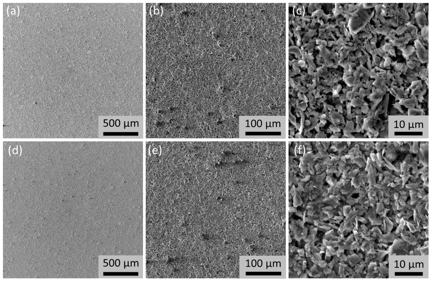 Lubricants 13 00433 g002
