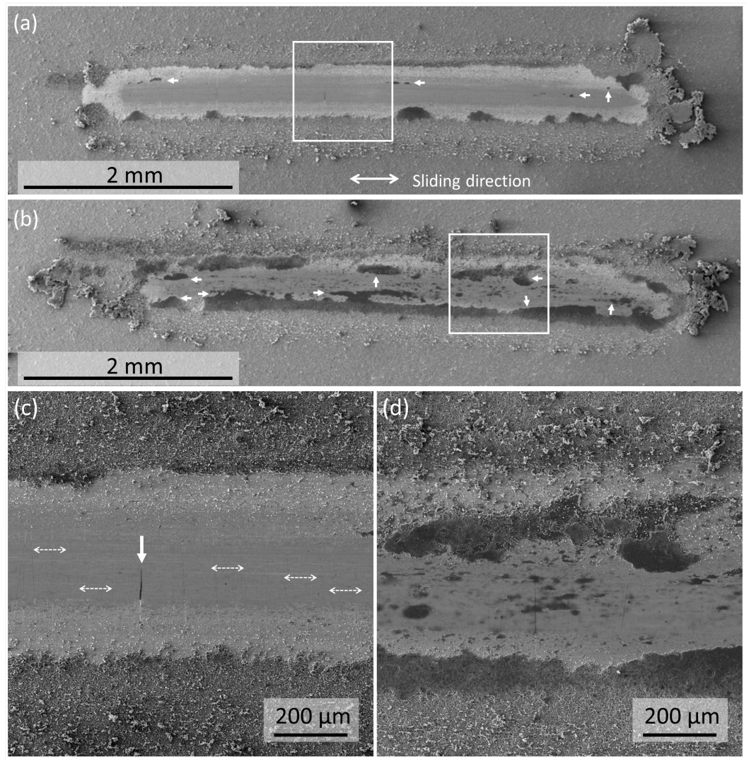 Lubricants 13 00433 g005