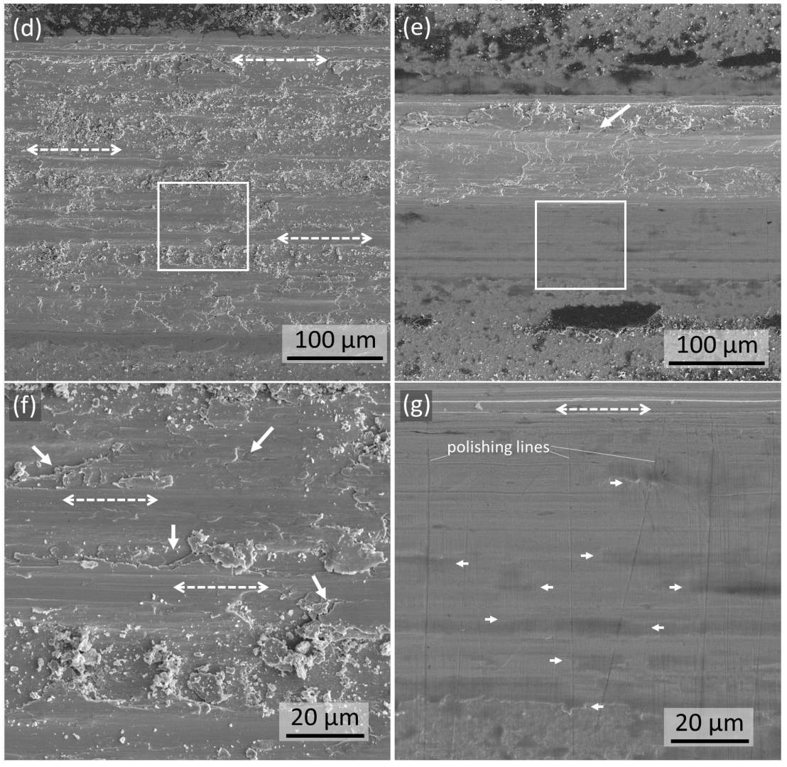 Lubricants 13 00433 g007b