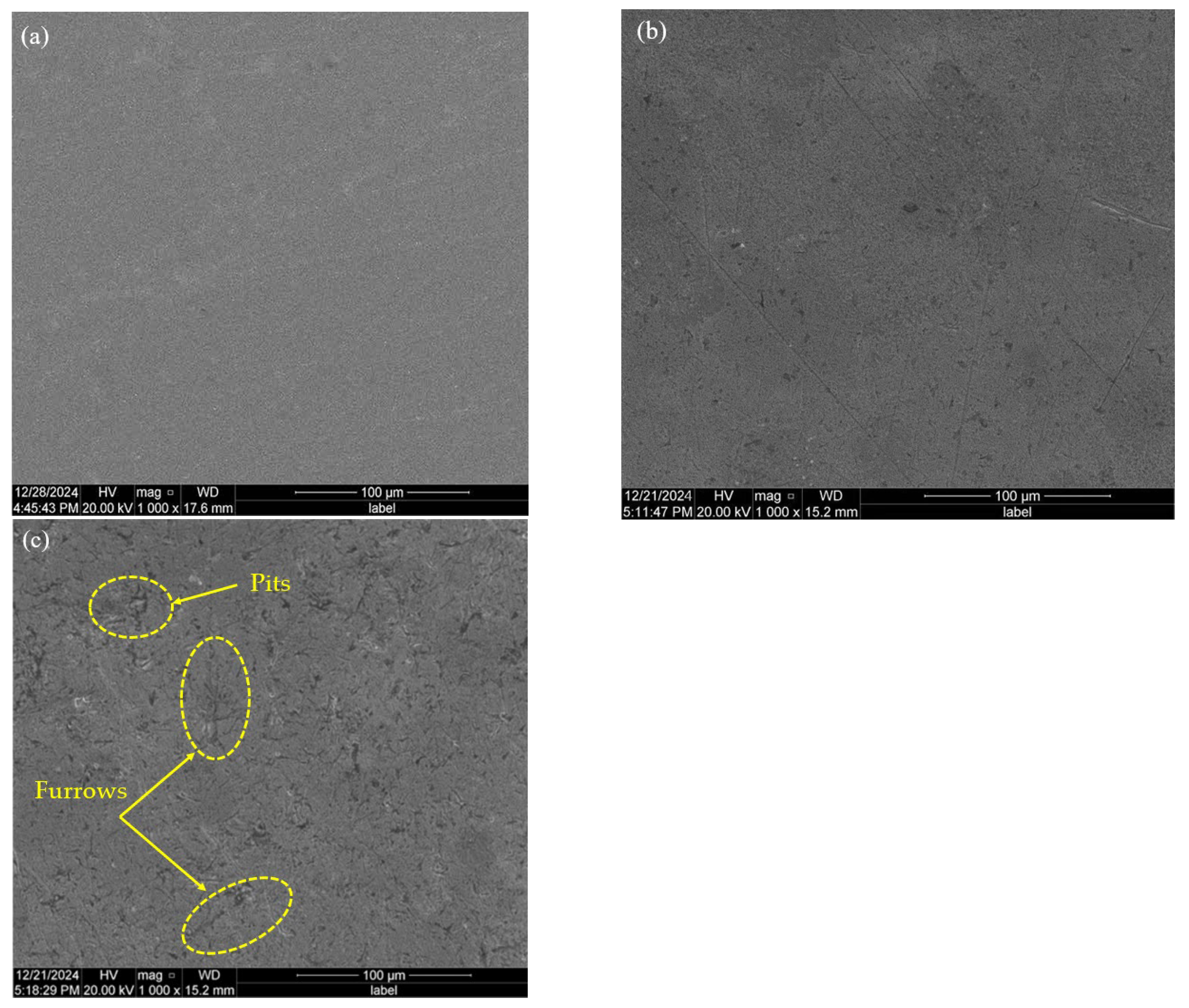 Lubricants 13 00434 g010 Lubricants 13 00434 g010