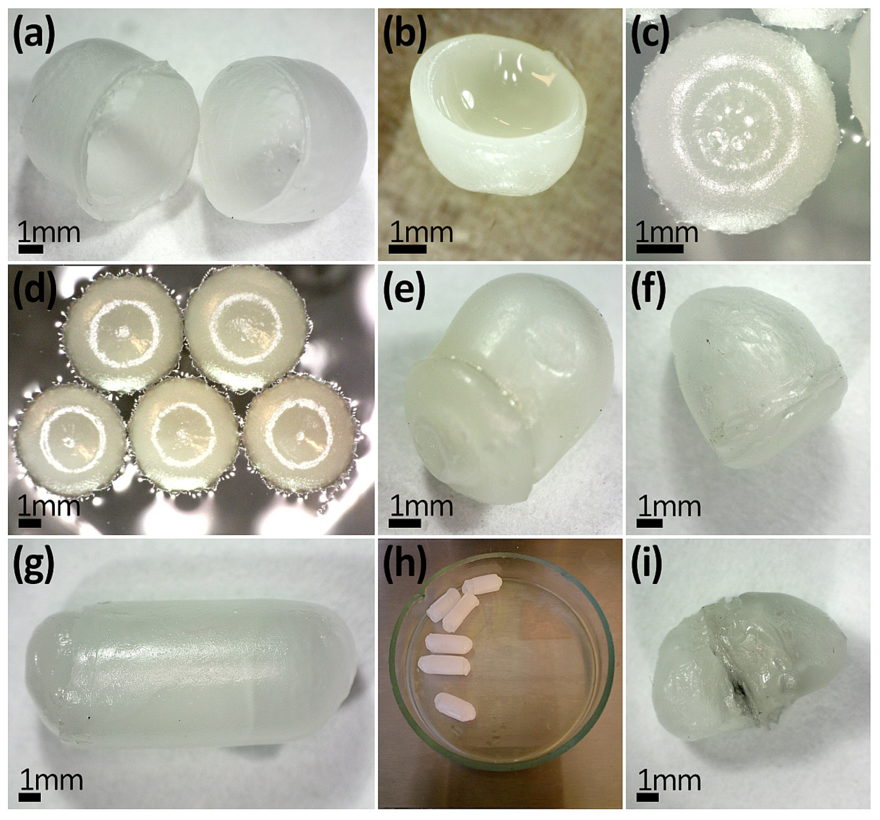 Lubricants 13 00439 g002 Lubricants 13 00439 g002