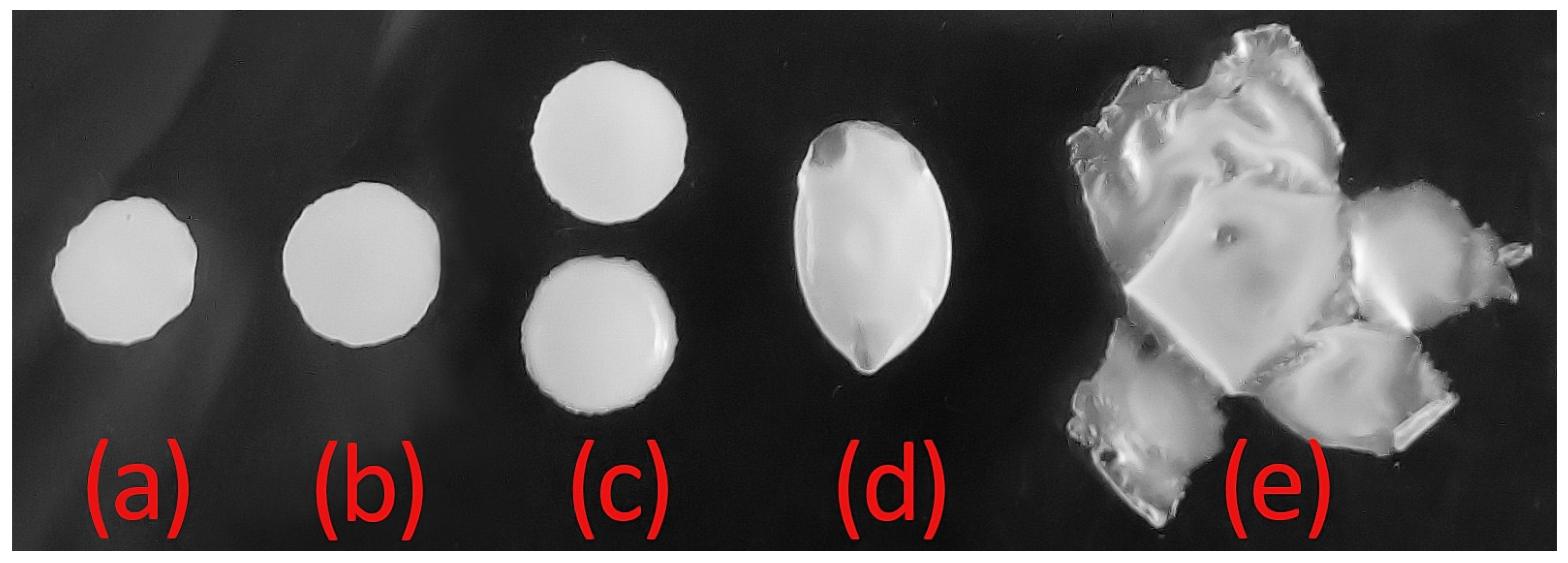 Lubricants 13 00439 g003 Lubricants 13 00439 g003