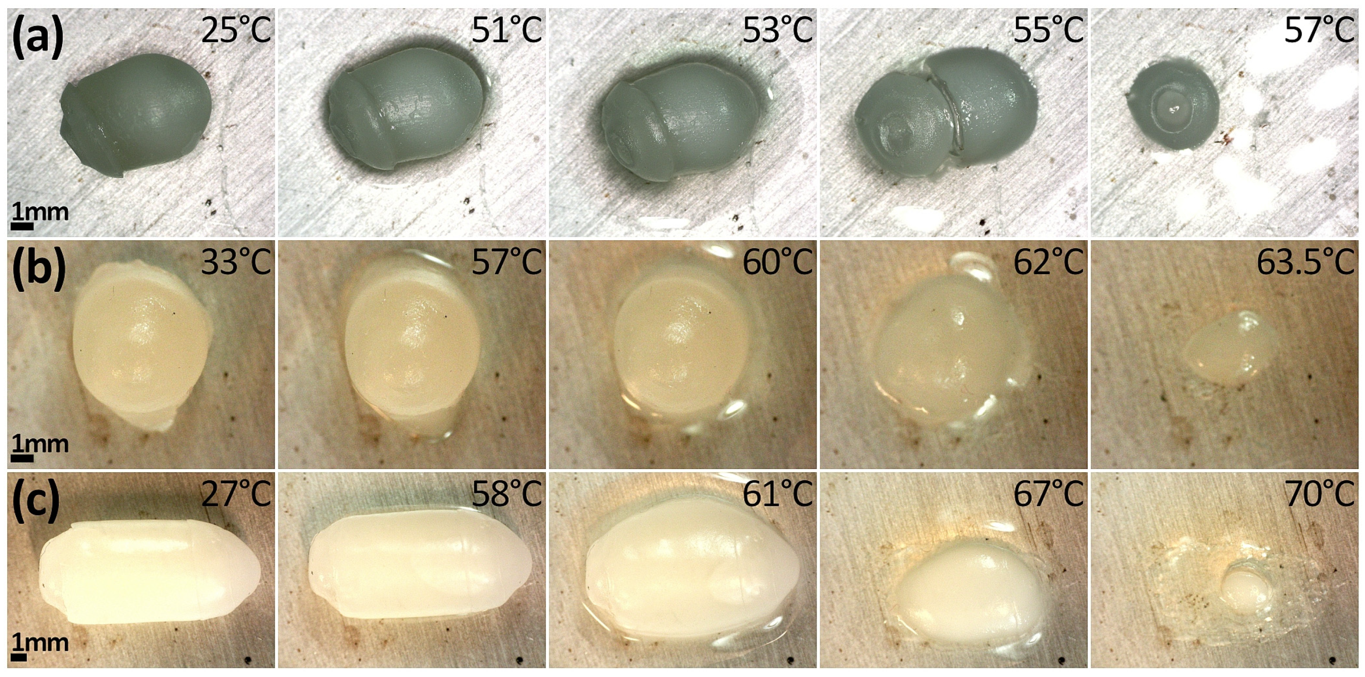 Lubricants 13 00439 g004 Lubricants 13 00439 g004