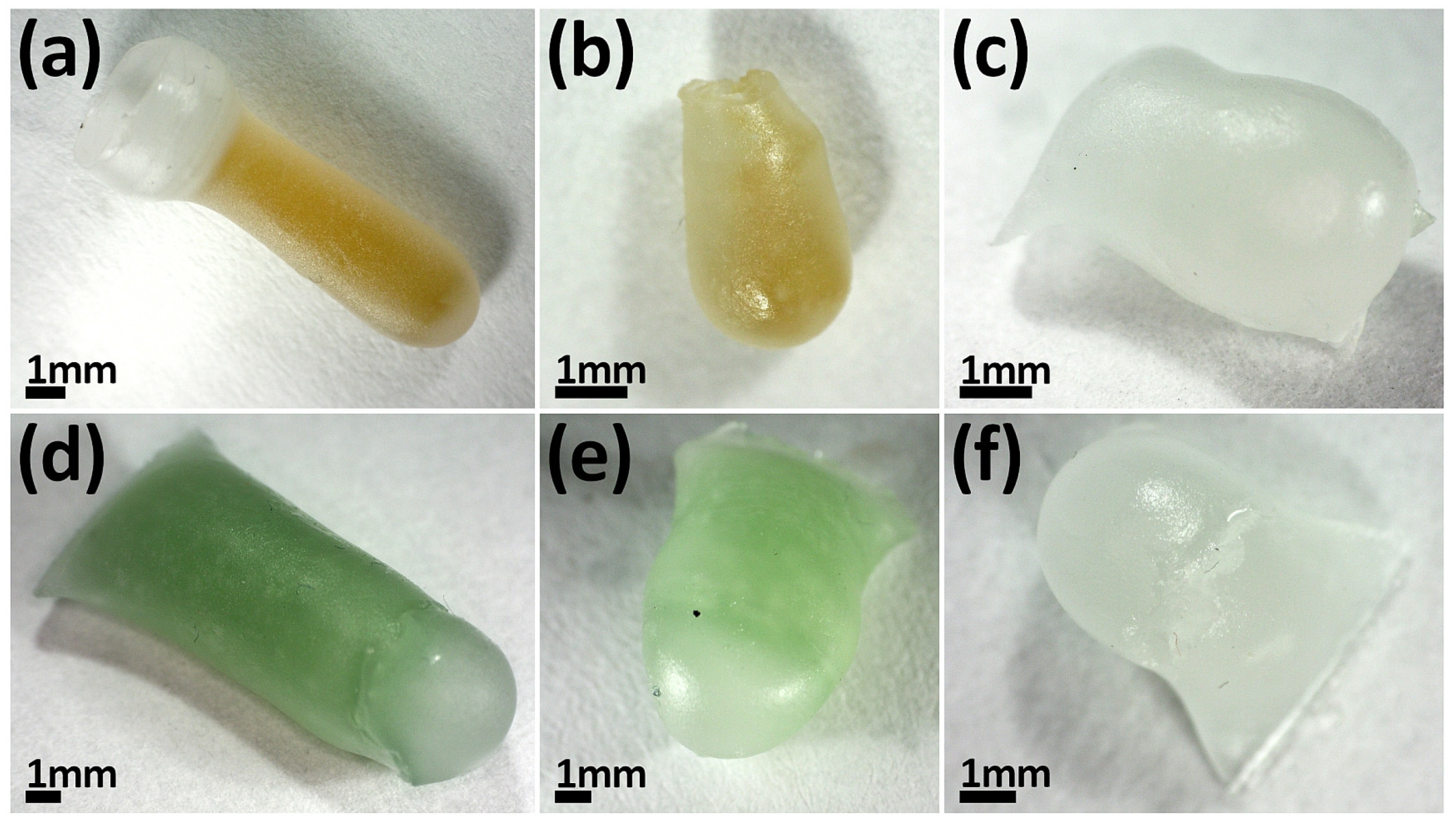 Lubricants 13 00439 g005 Lubricants 13 00439 g005