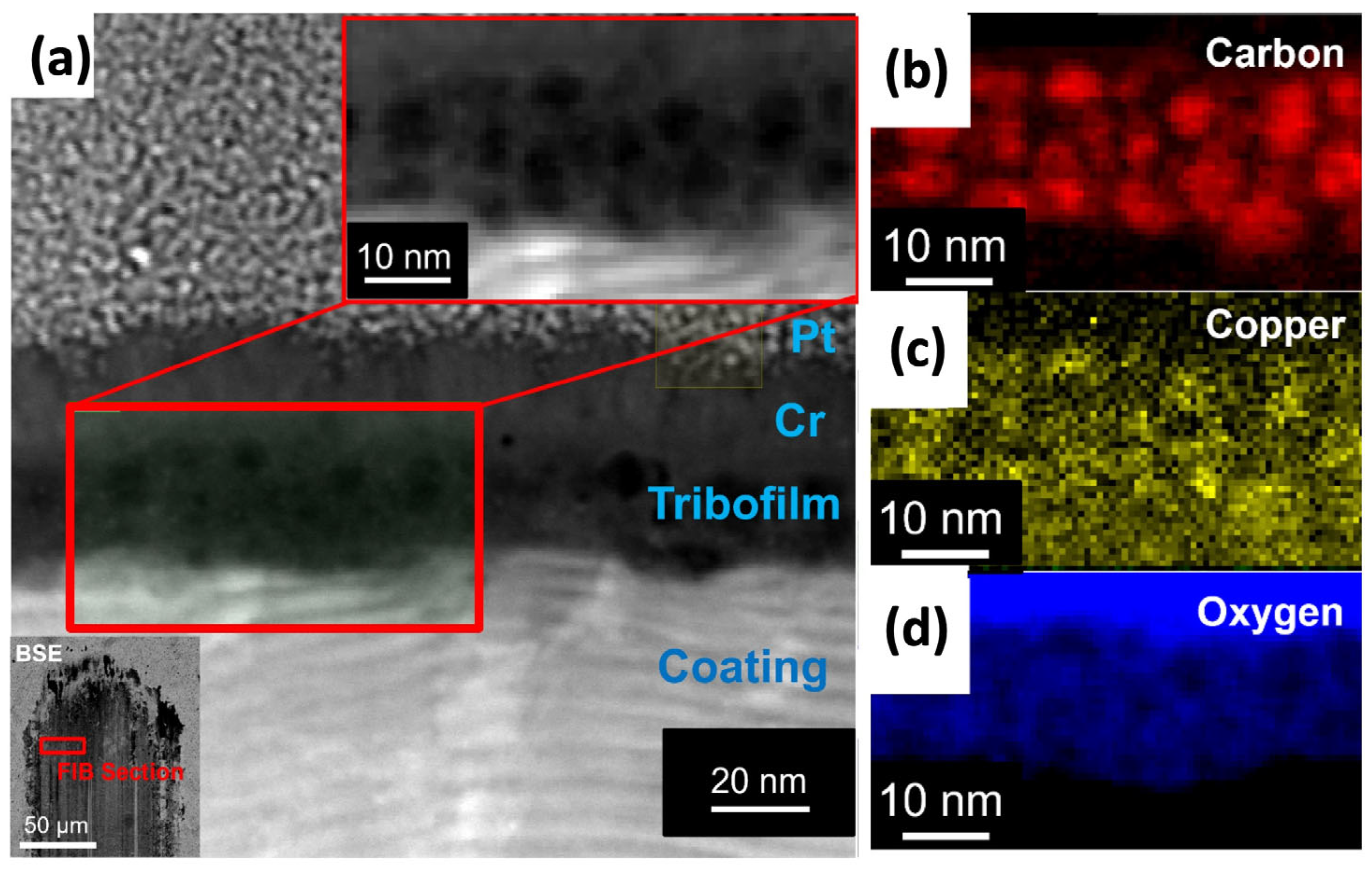 Lubricants 13 00442 g005 Lubricants 13 00442 g005
