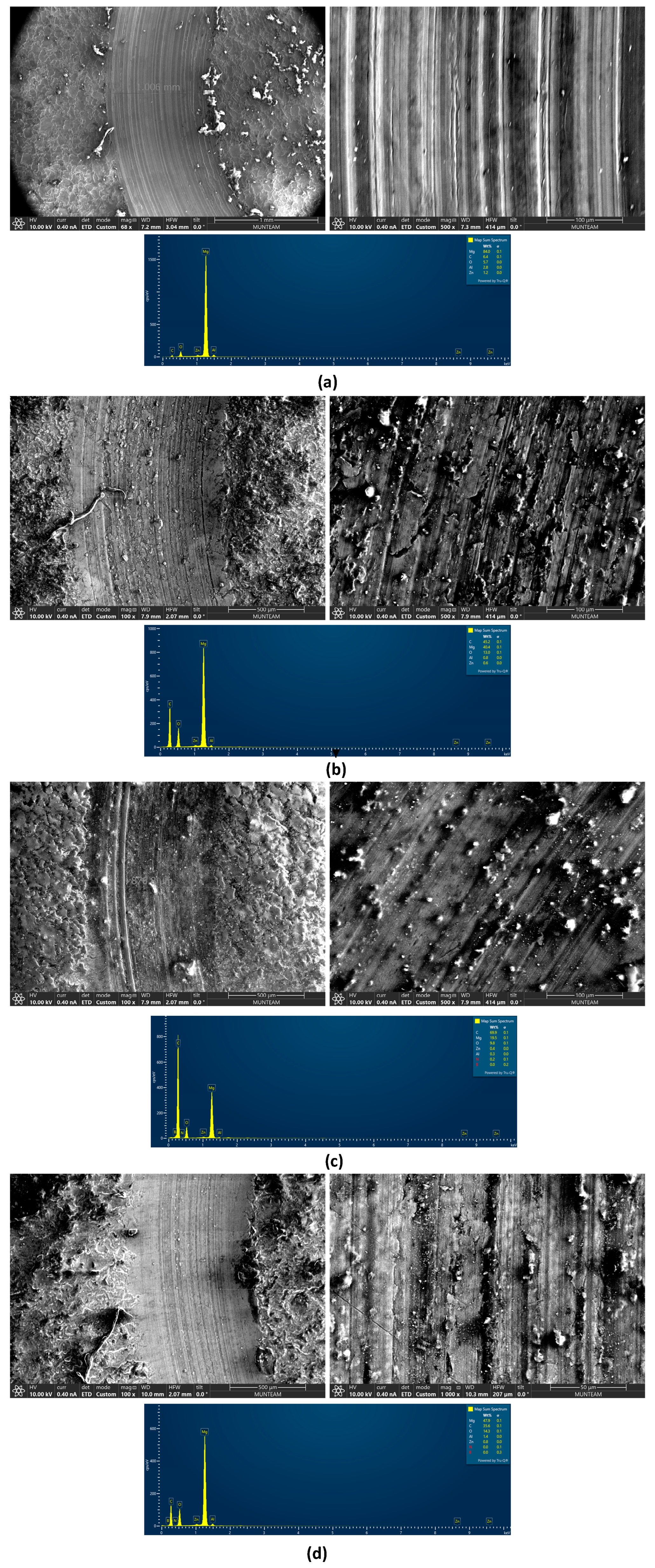 Lubricants 13 00443 g007 Lubricants 13 00443 g007