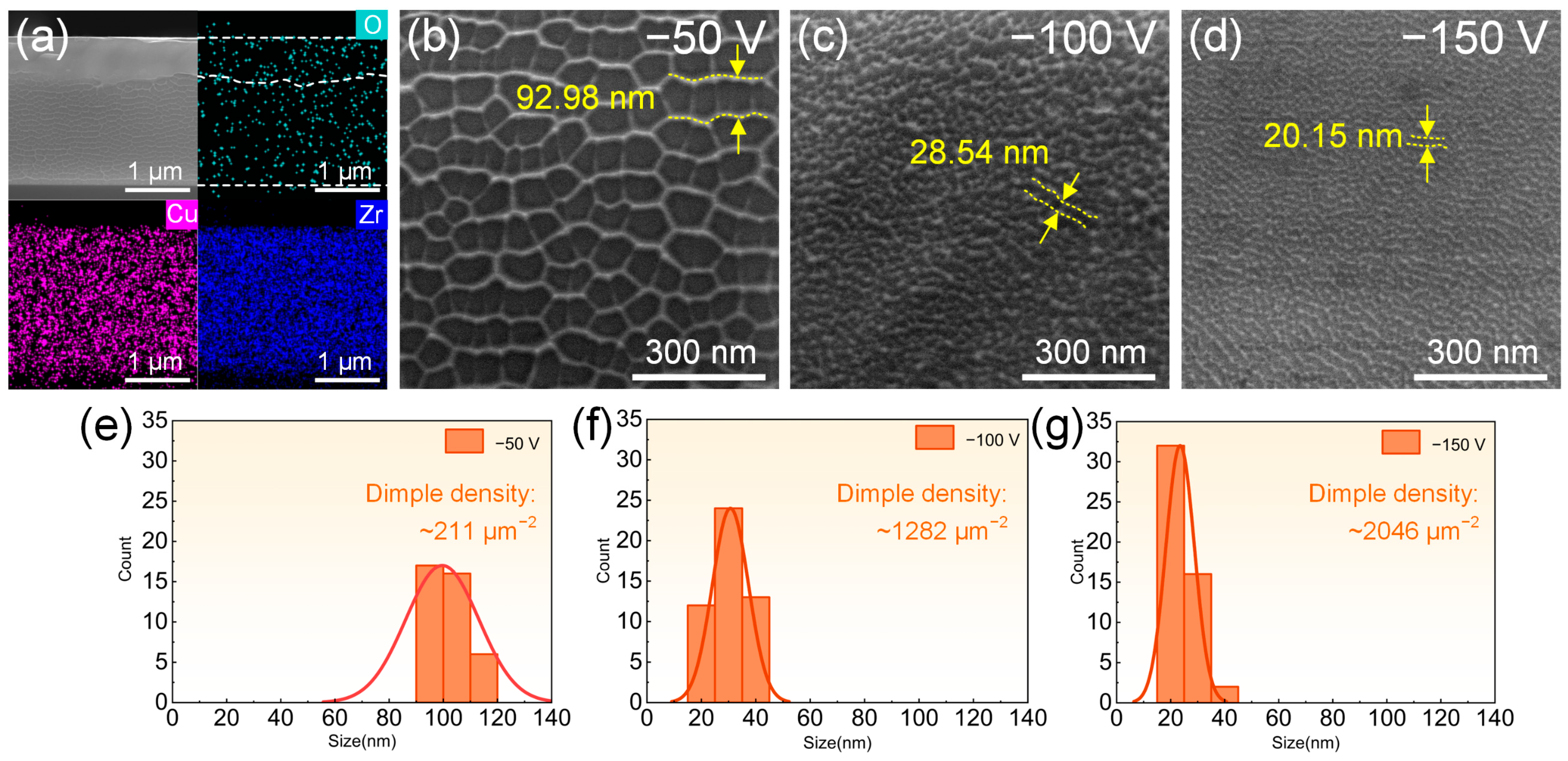 Lubricants 13 00447 g006