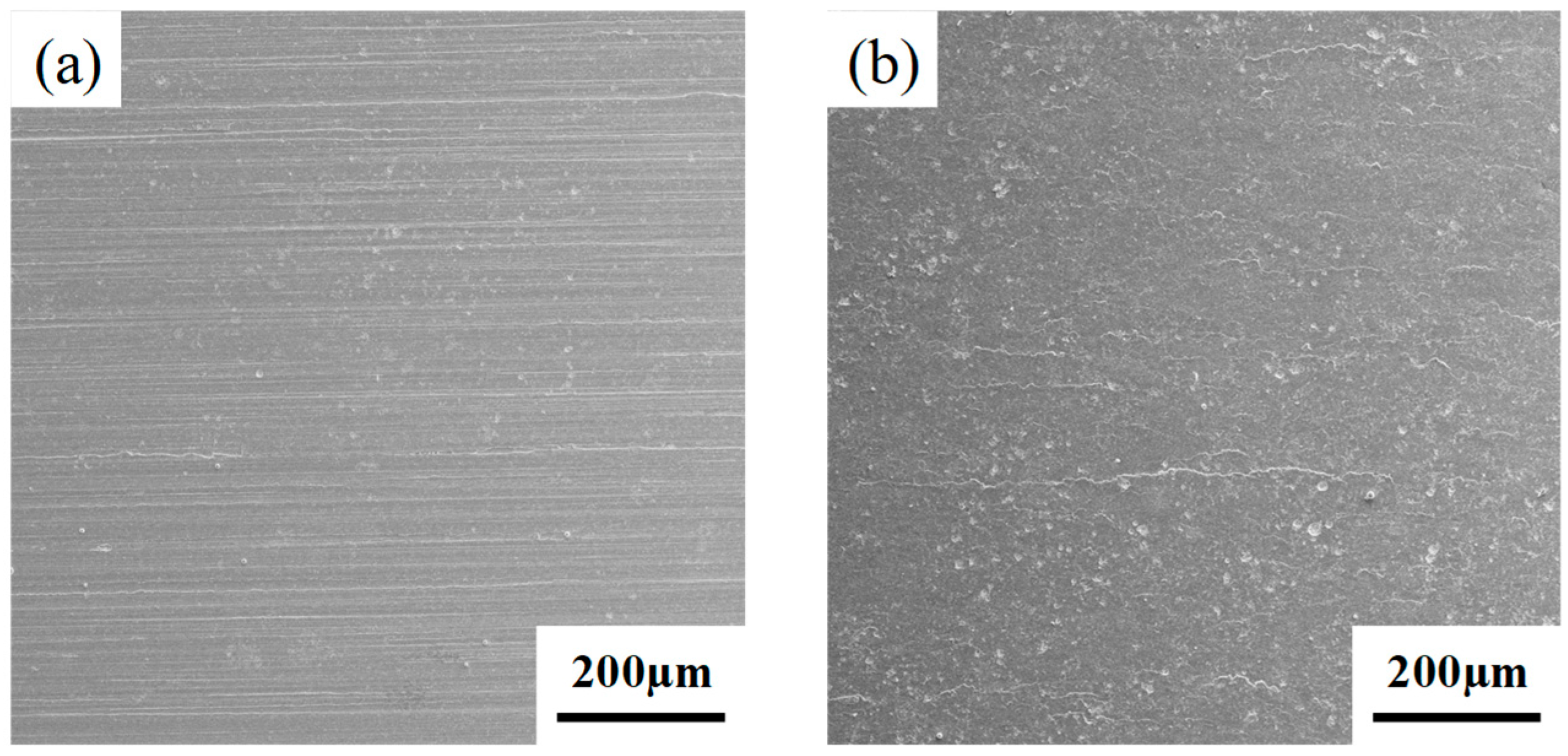 Lubricants 13 00448 g002 Lubricants 13 00448 g002