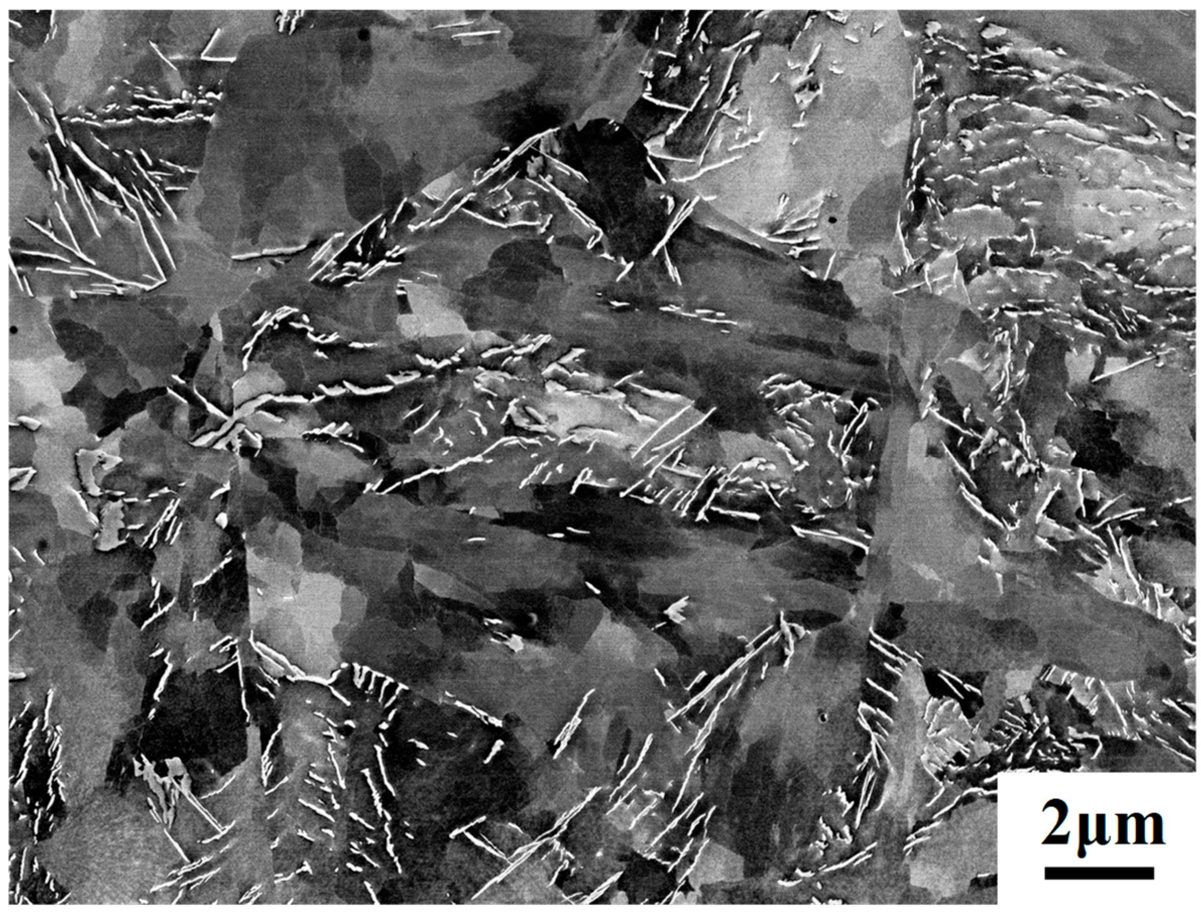 Lubricants 13 00448 g003 Lubricants 13 00448 g003