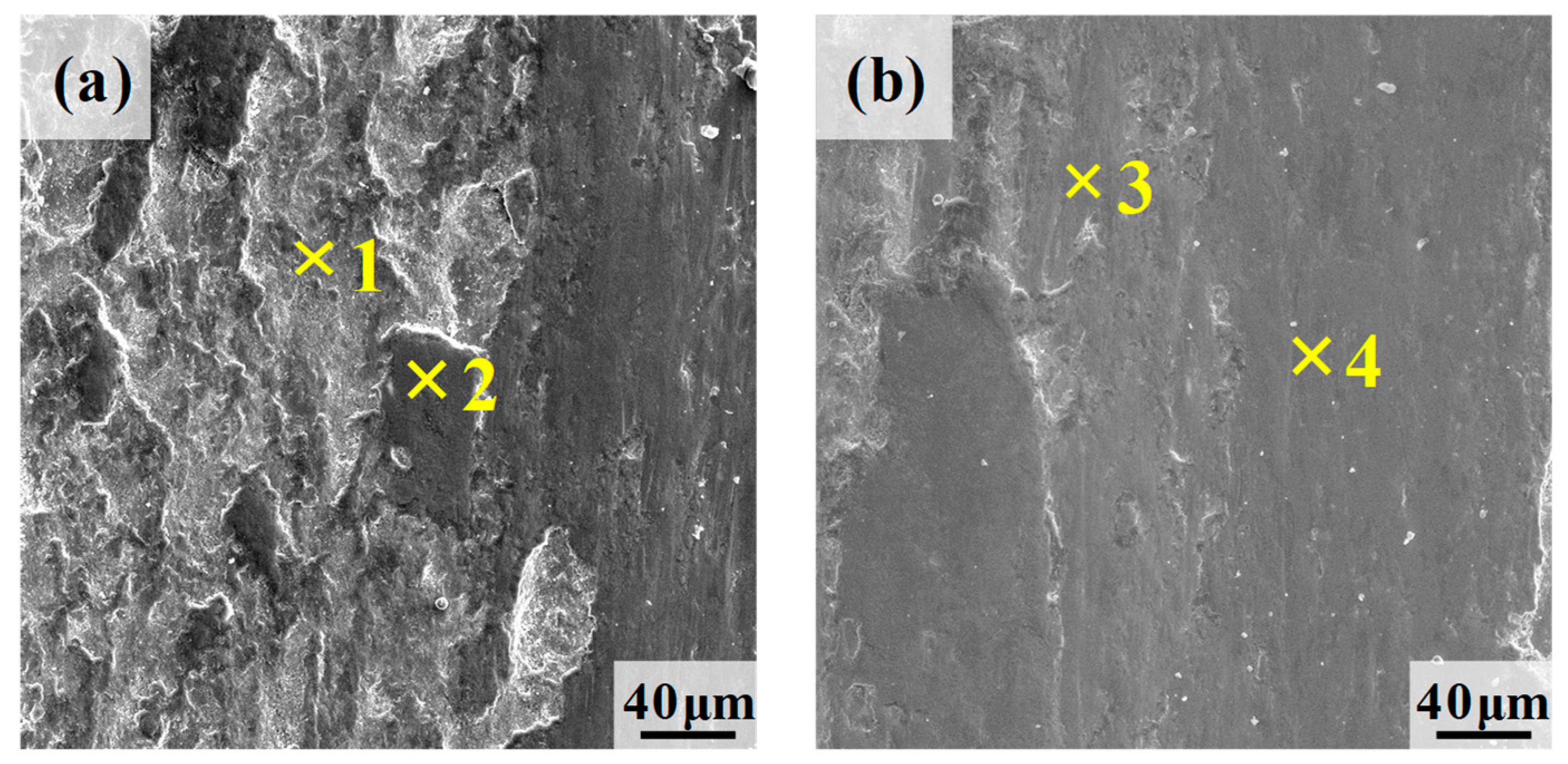 Lubricants 13 00448 g013a Lubricants 13 00448 g013a