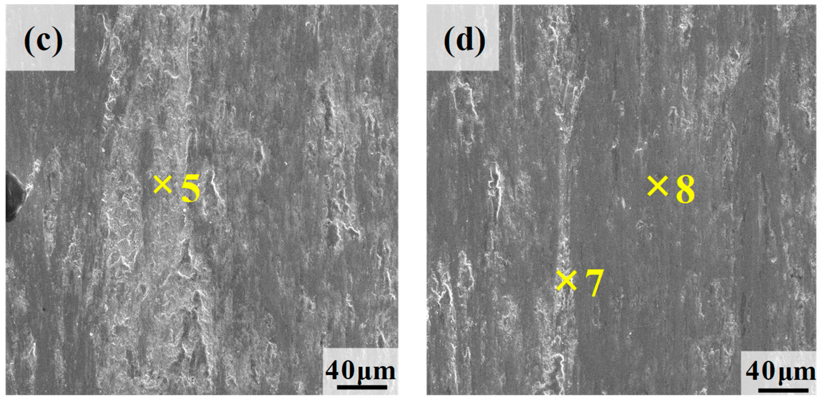 Lubricants 13 00448 g013b Lubricants 13 00448 g013b