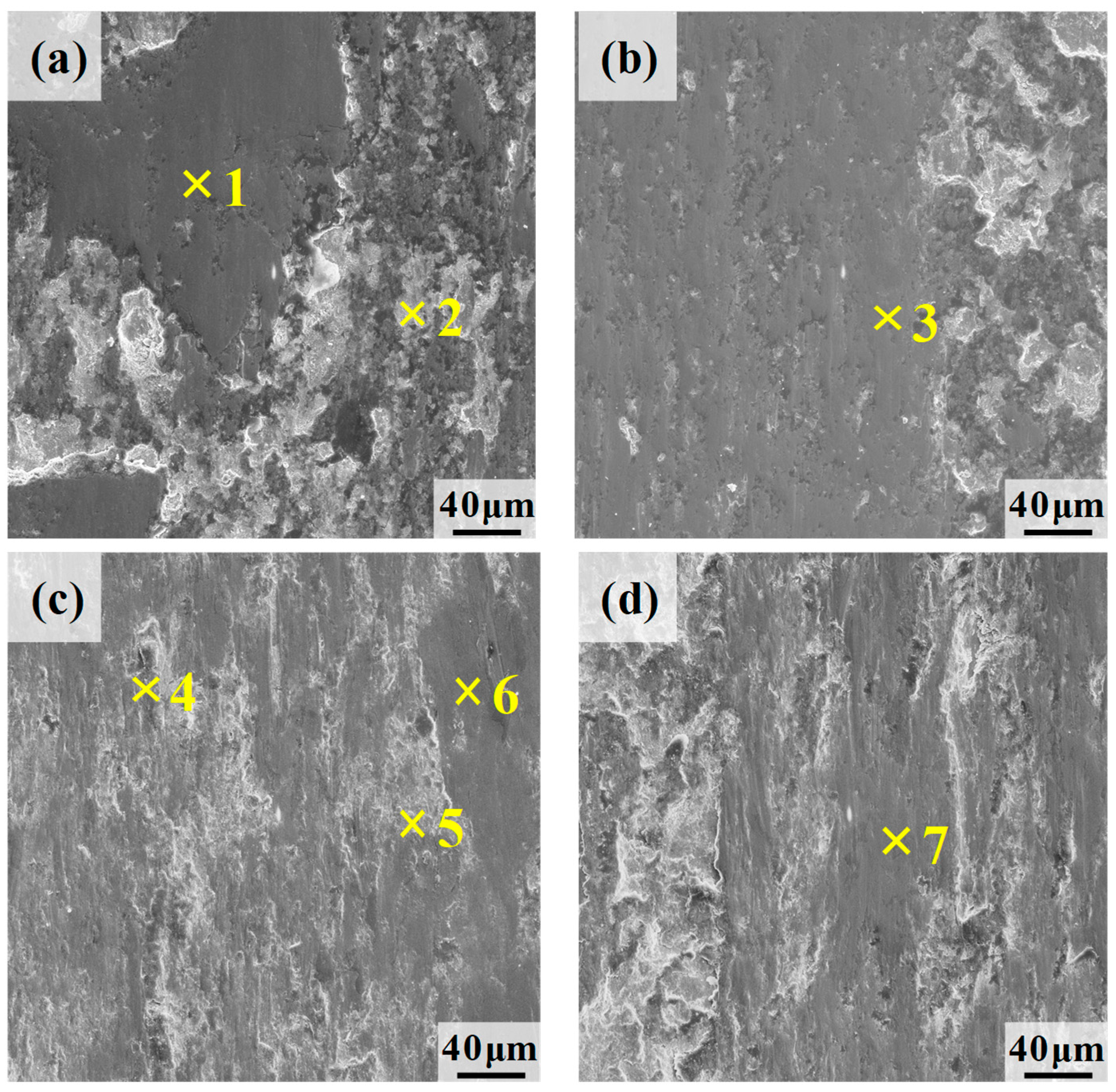 Lubricants 13 00448 g014 Lubricants 13 00448 g014