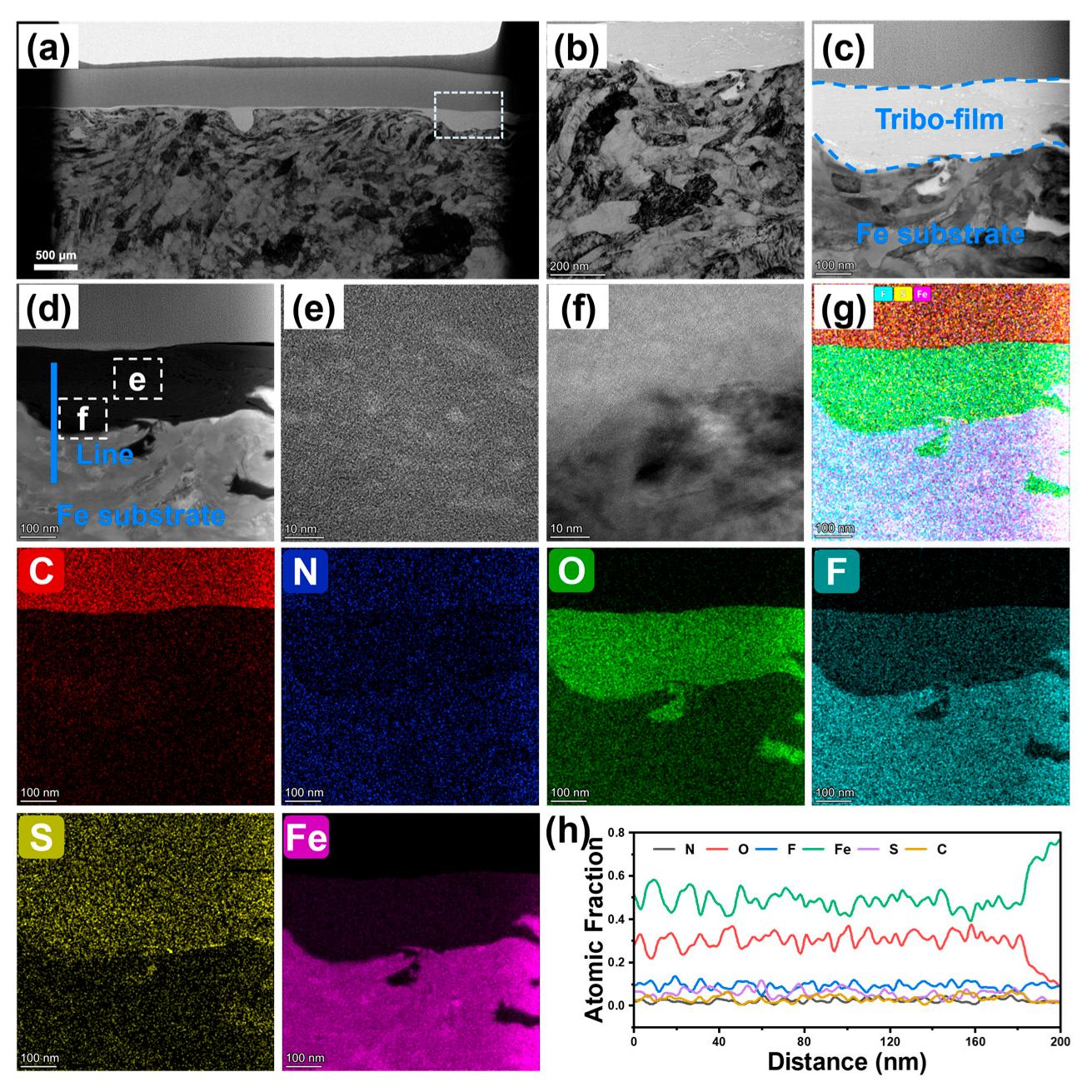 Lubricants 13 00452 g008