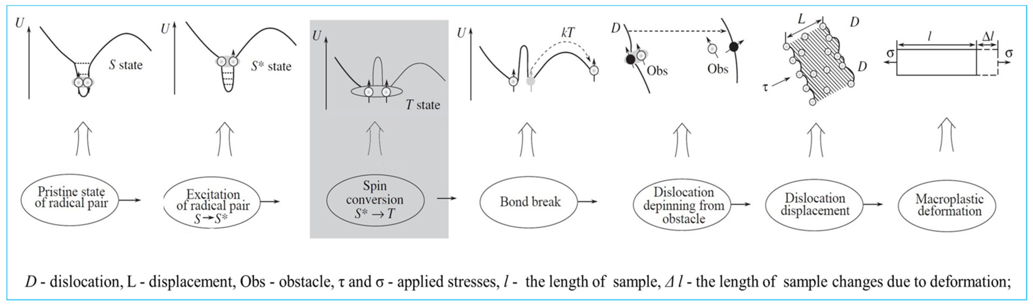 Lubricants 13 00454 g002