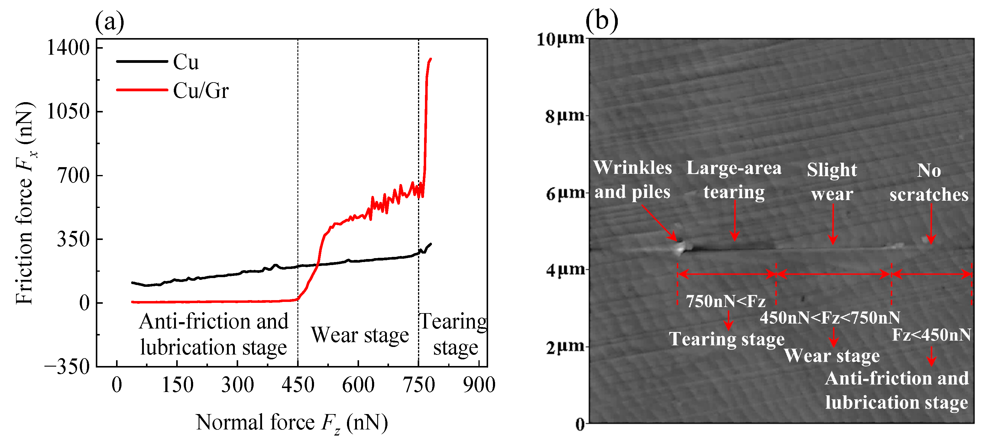 Lubricants 13 00457 g006 Lubricants 13 00457 g006