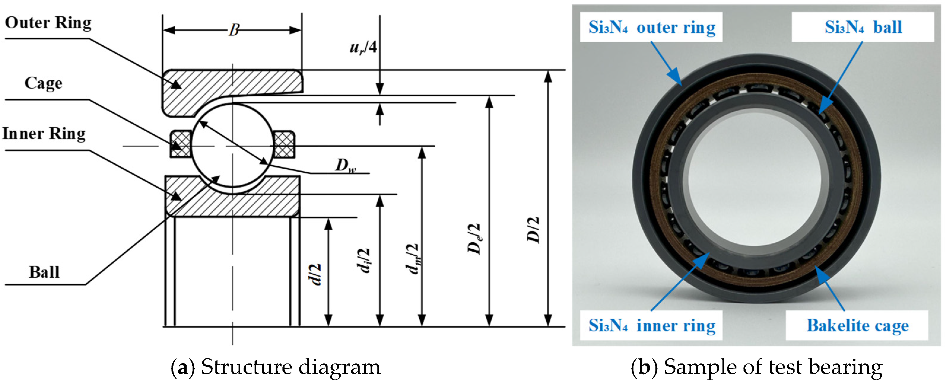 Lubricants 13 00461 g002