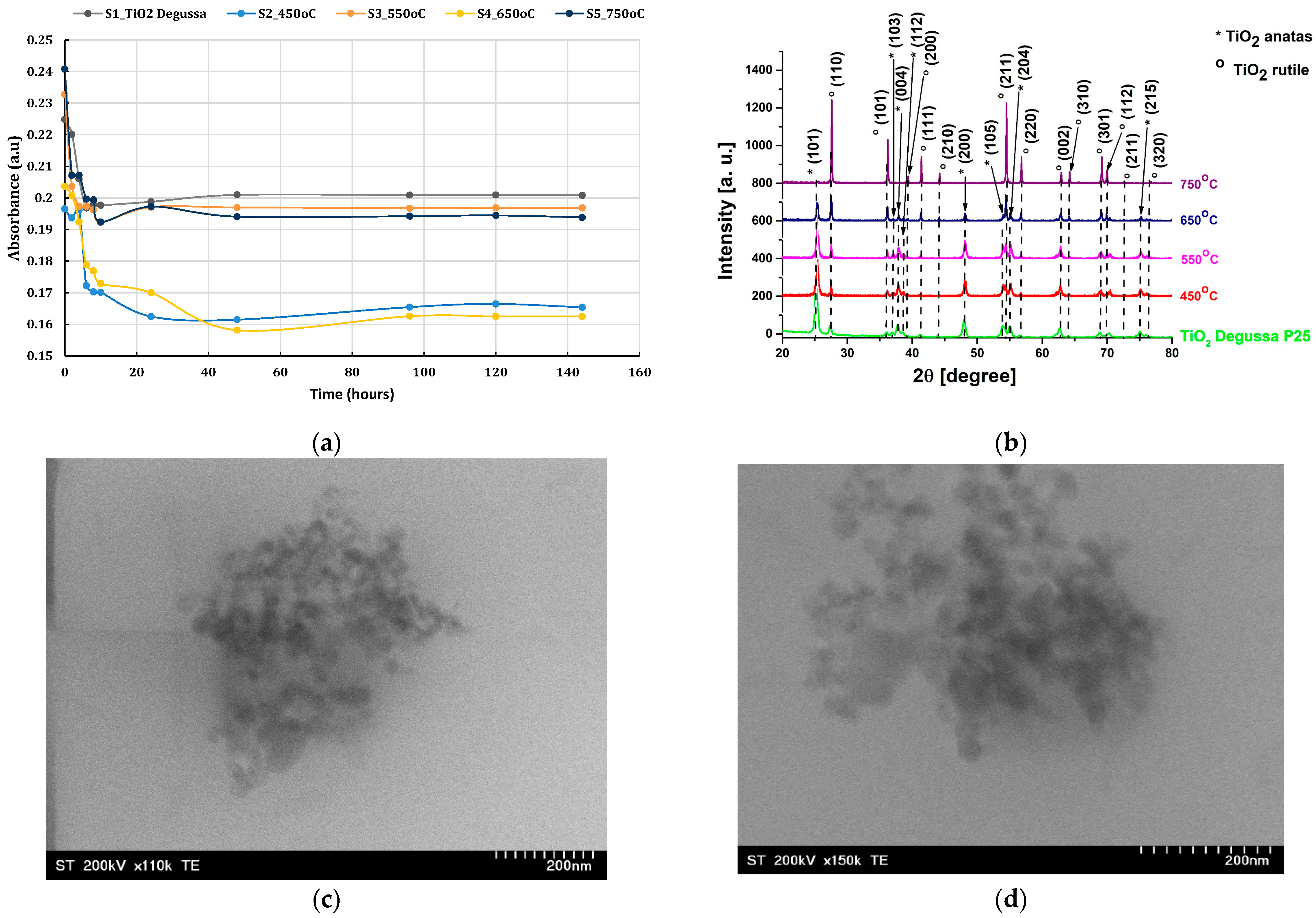 Lubricants 13 00466 g002a