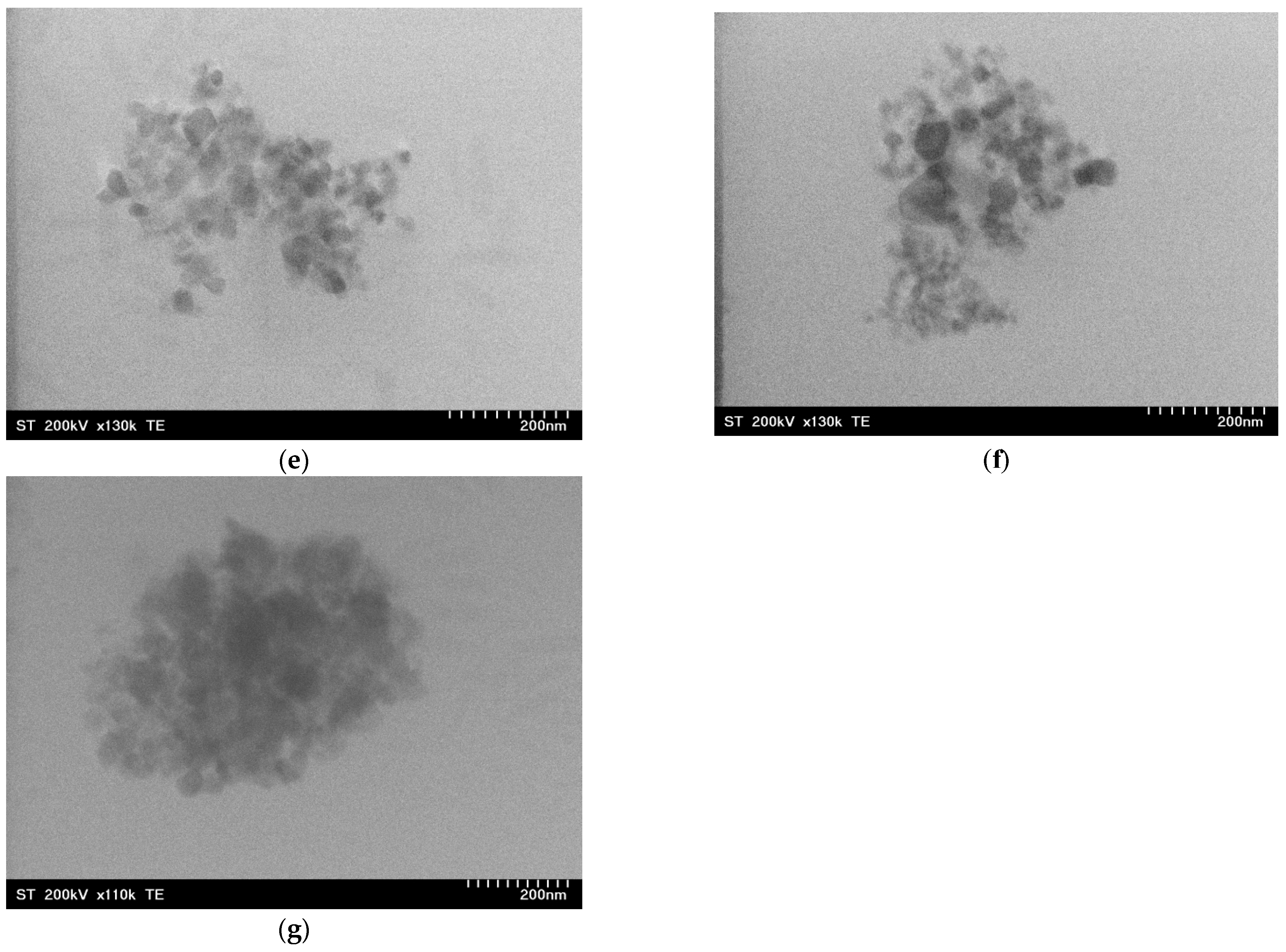 Lubricants 13 00466 g002b