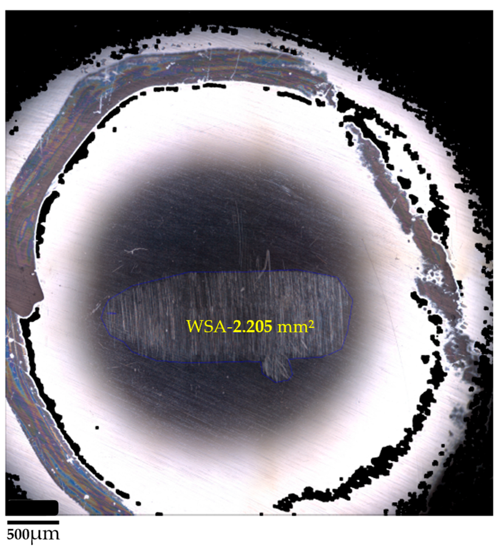 Lubricants 13 00466 g010