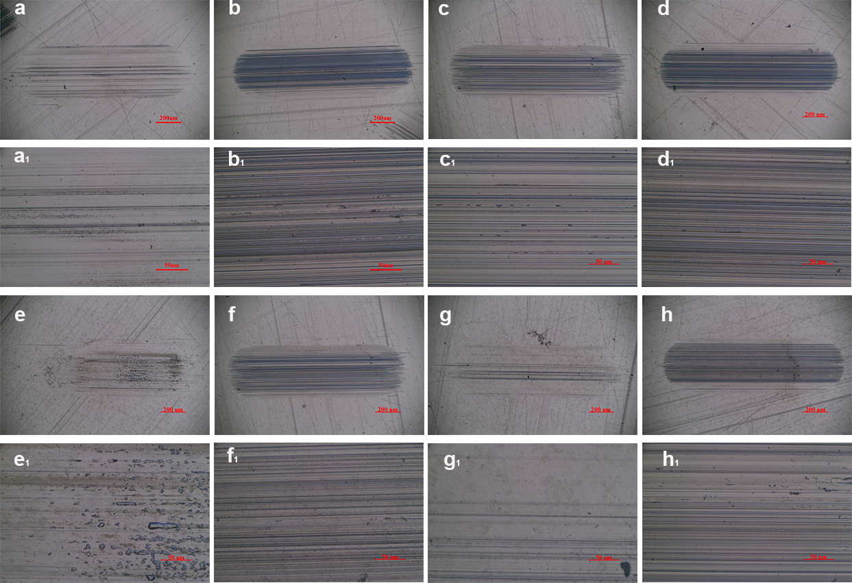 Lubricants 13 00475 g005 Lubricants 13 00475 g005