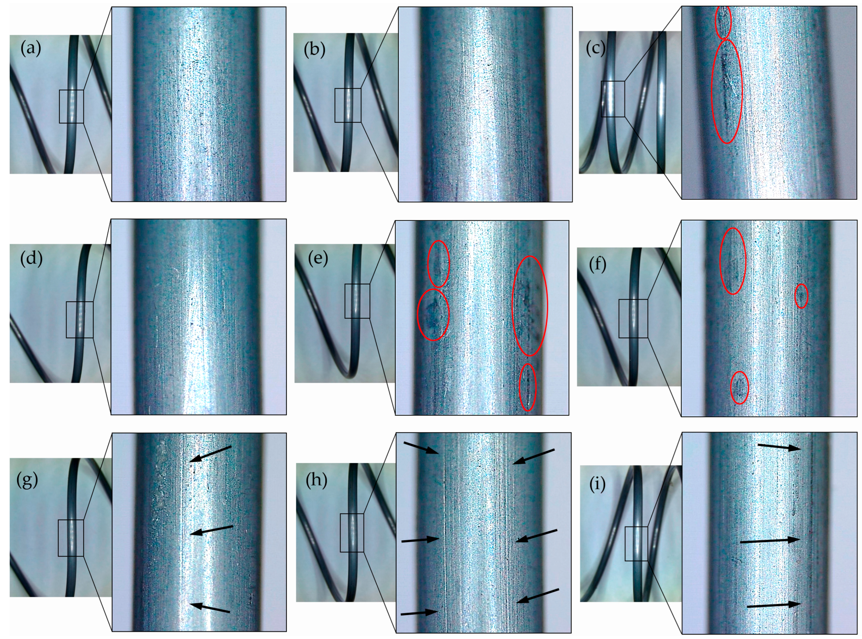 Lubricants 13 00481 g009