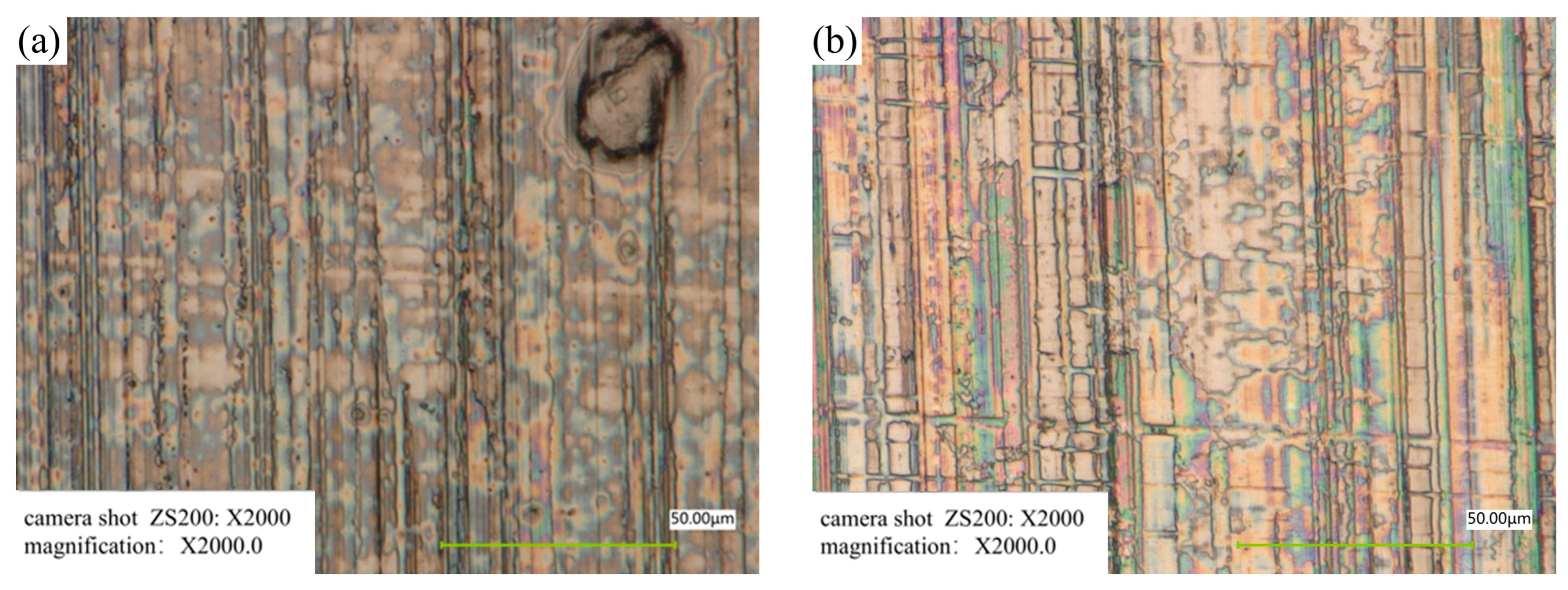 Lubricants 13 00482 g015