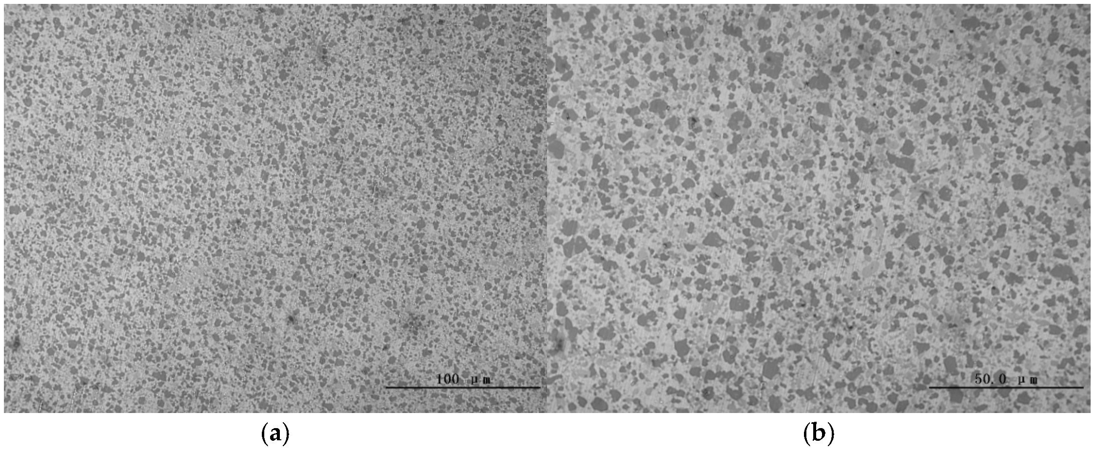 Lubricants 13 00487 g002