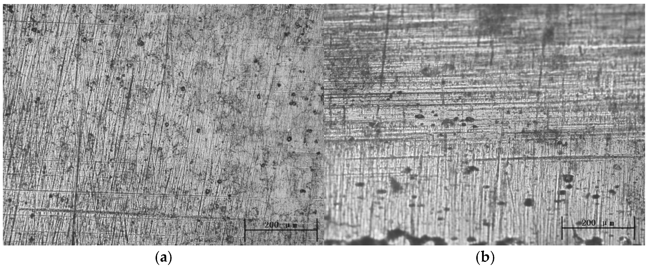 Lubricants 13 00487 g003a