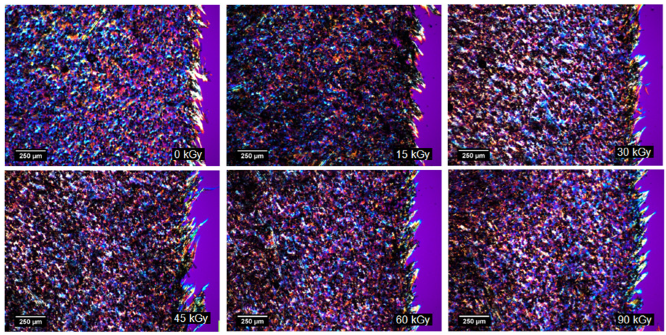 Lubricants 13 00489 g010