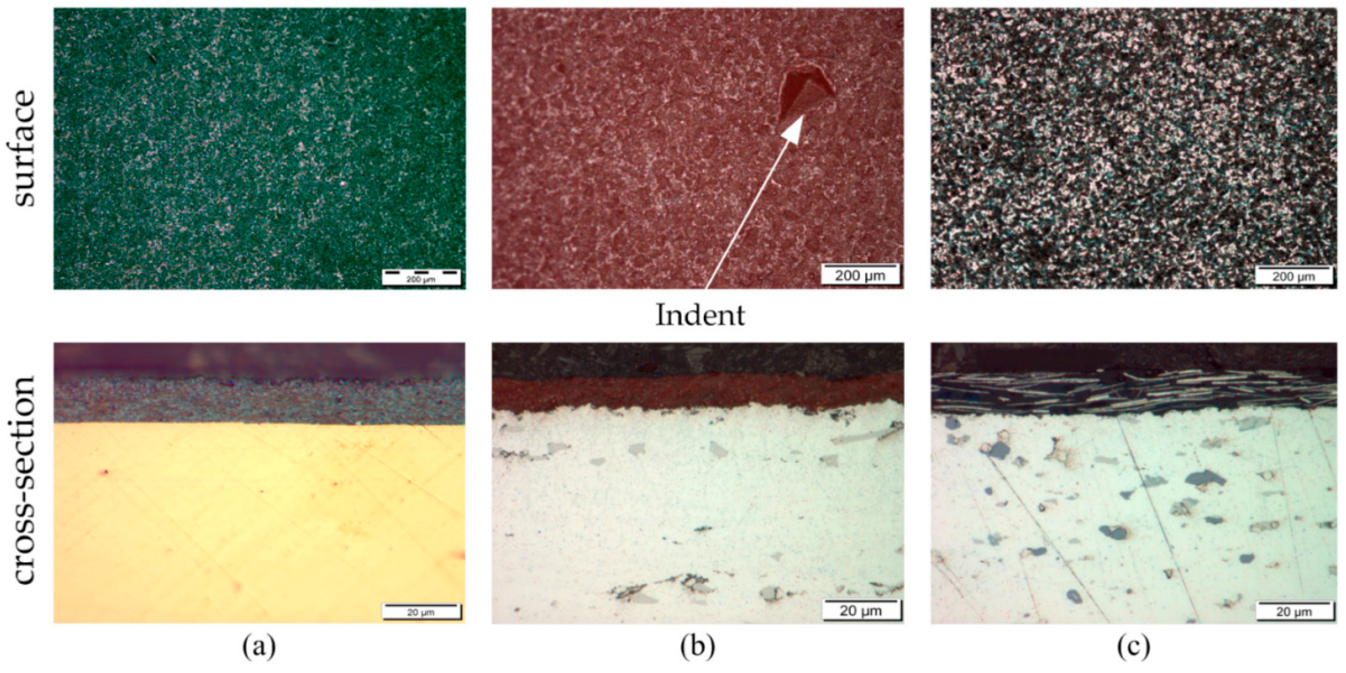 Lubricants 13 00493 g001