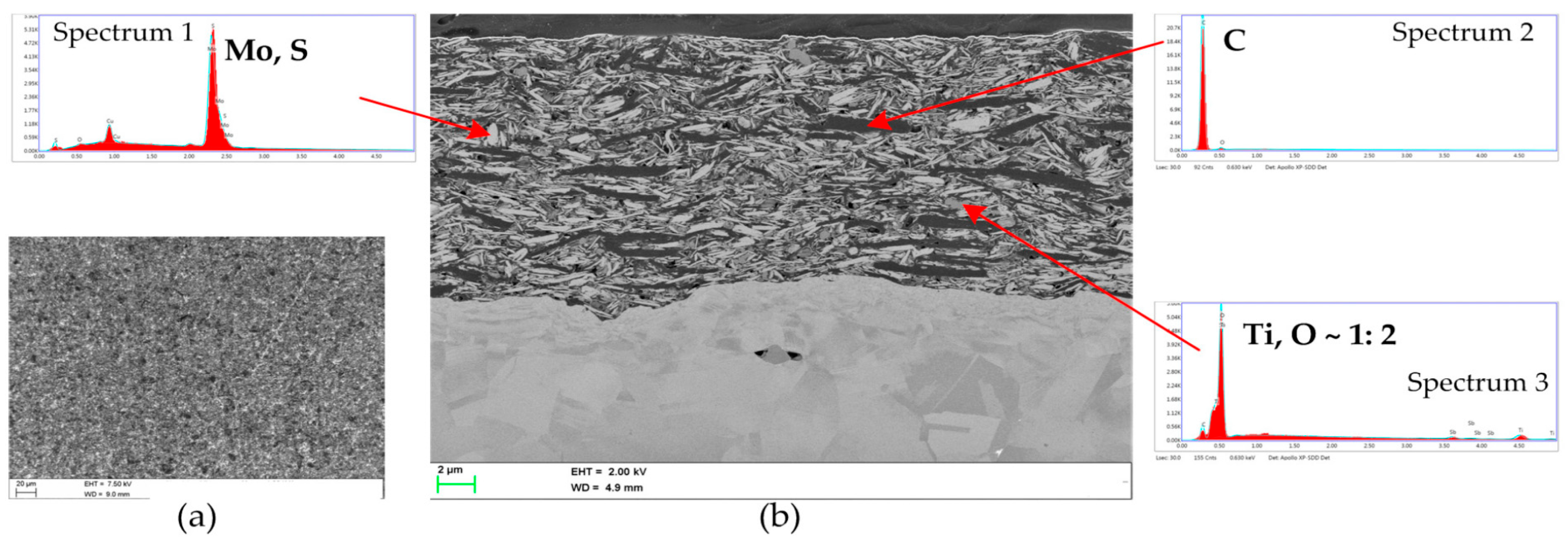 Lubricants 13 00493 g002