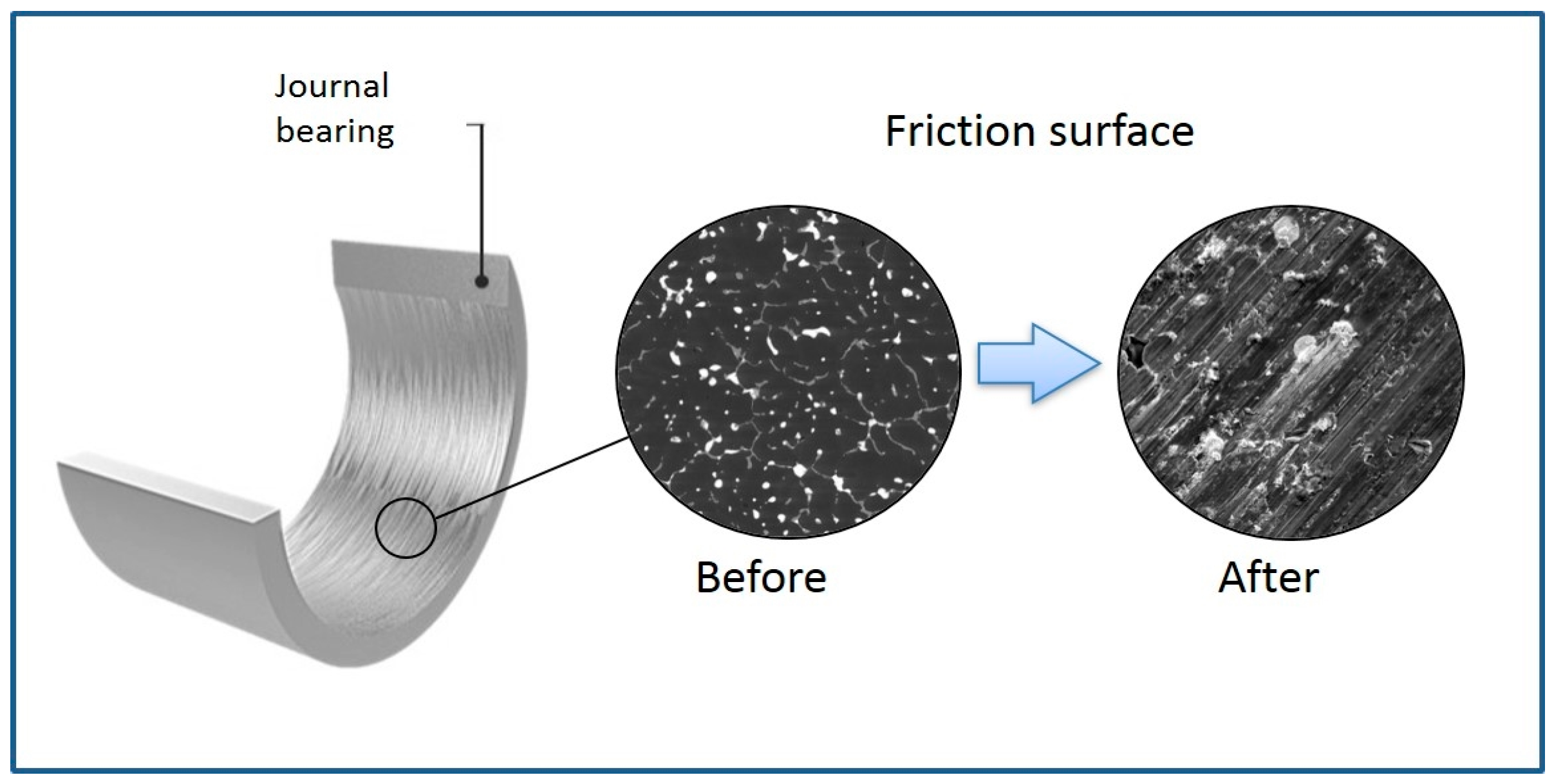 Lubricants 13 00493 g006