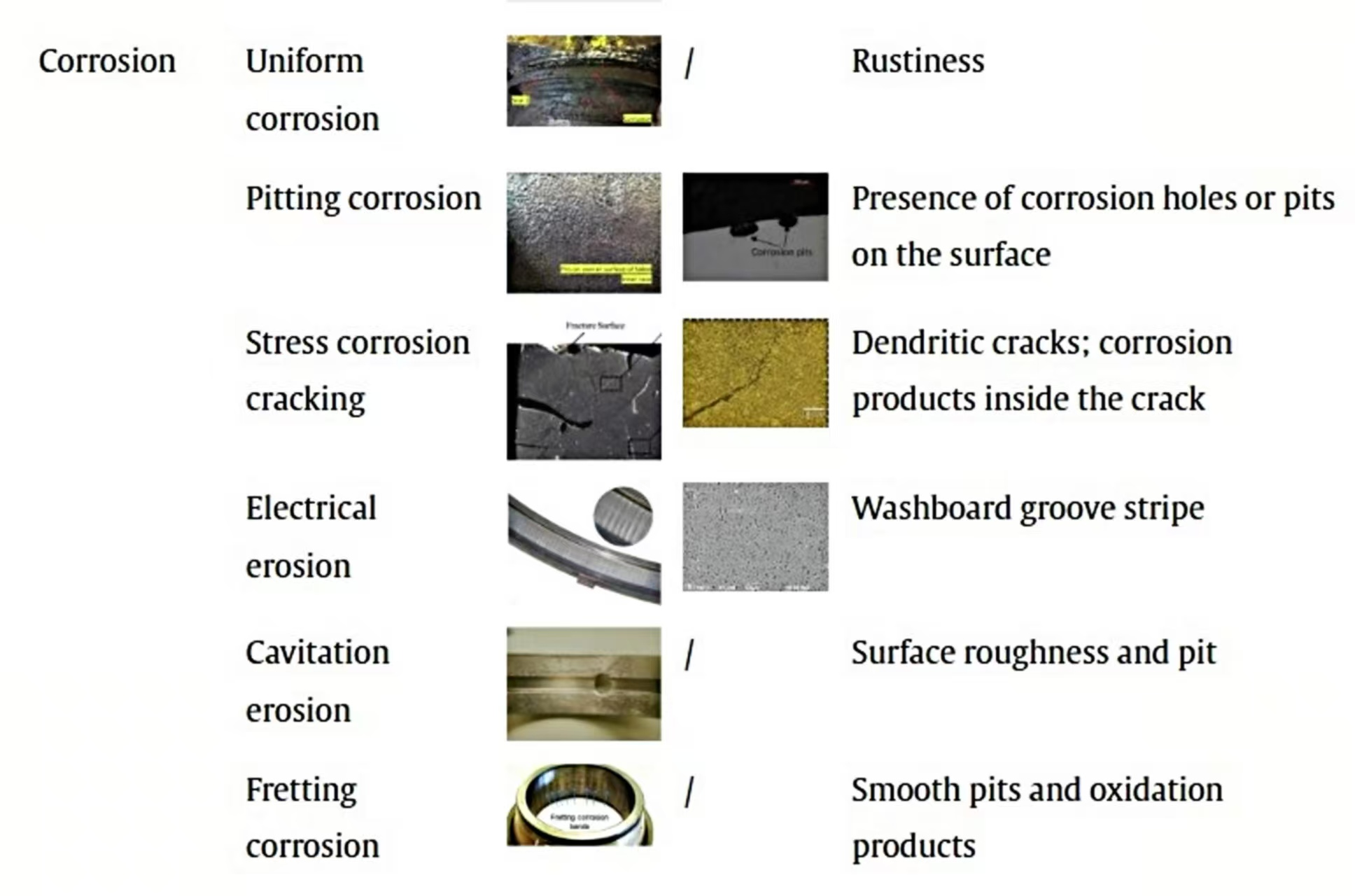 Lubricants 13 00493 g007