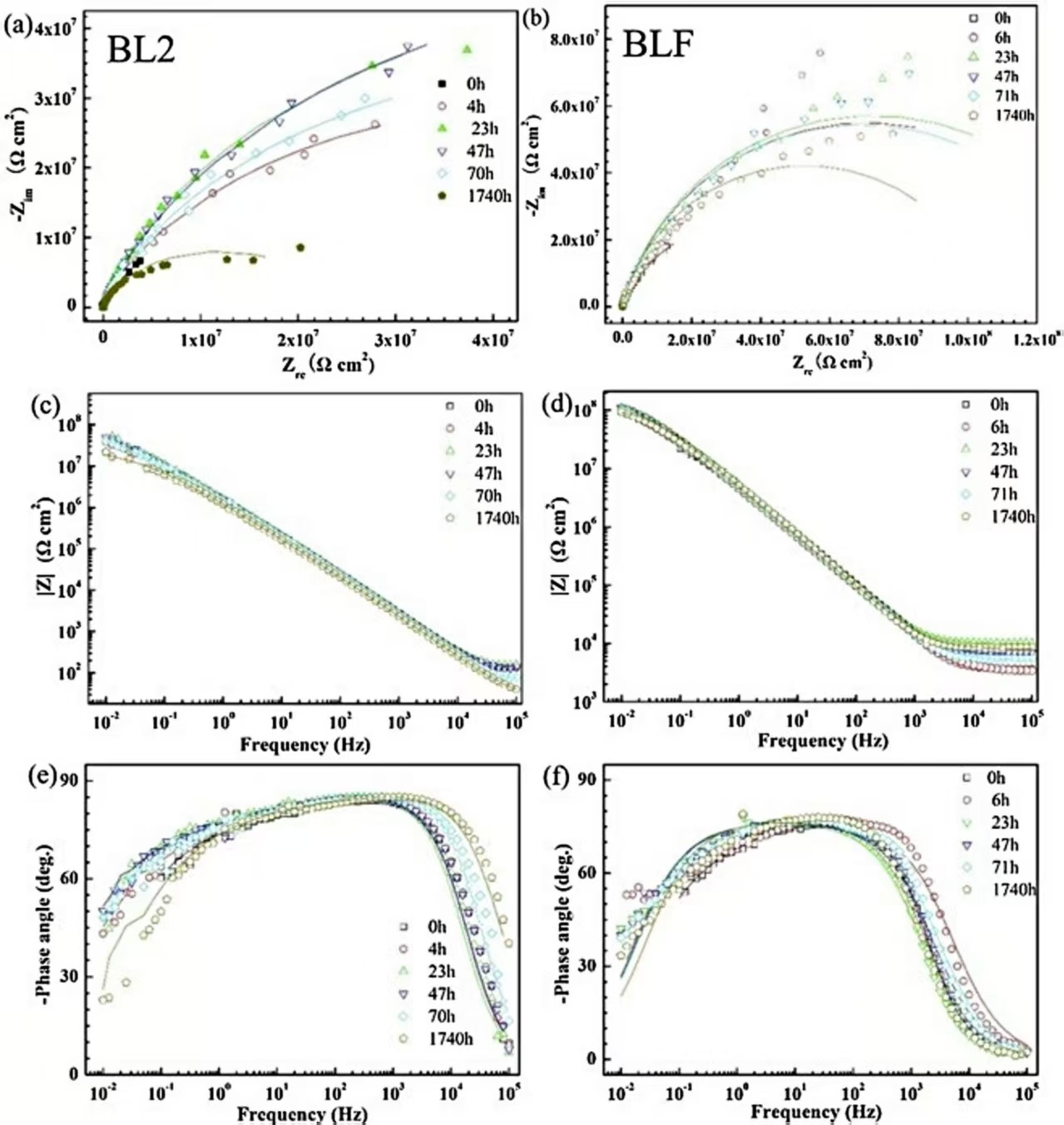 Lubricants 13 00493 g008