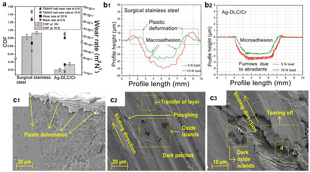 Lubricants 13 00496 g003